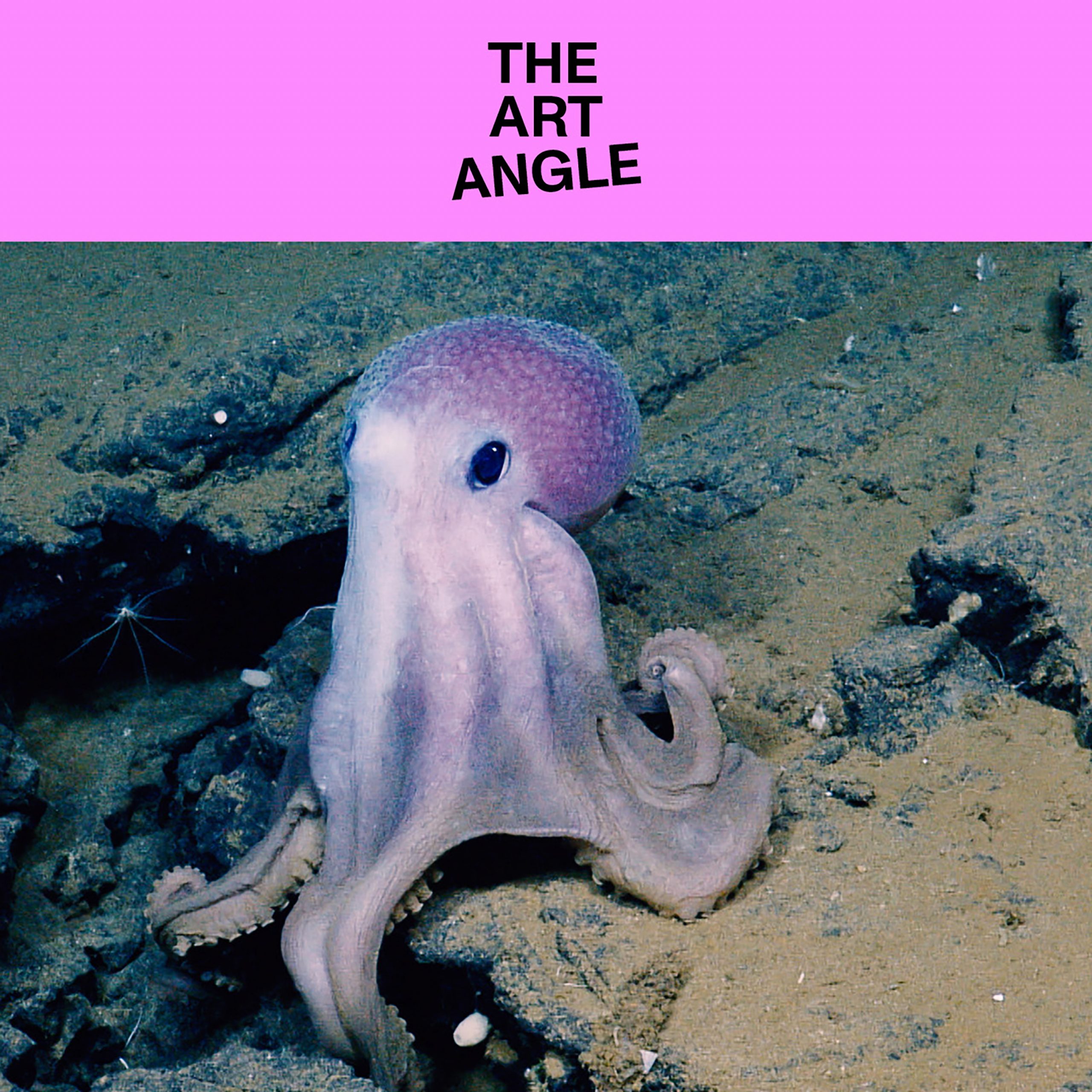 Re-Air: The Art World's Octopus Teacher