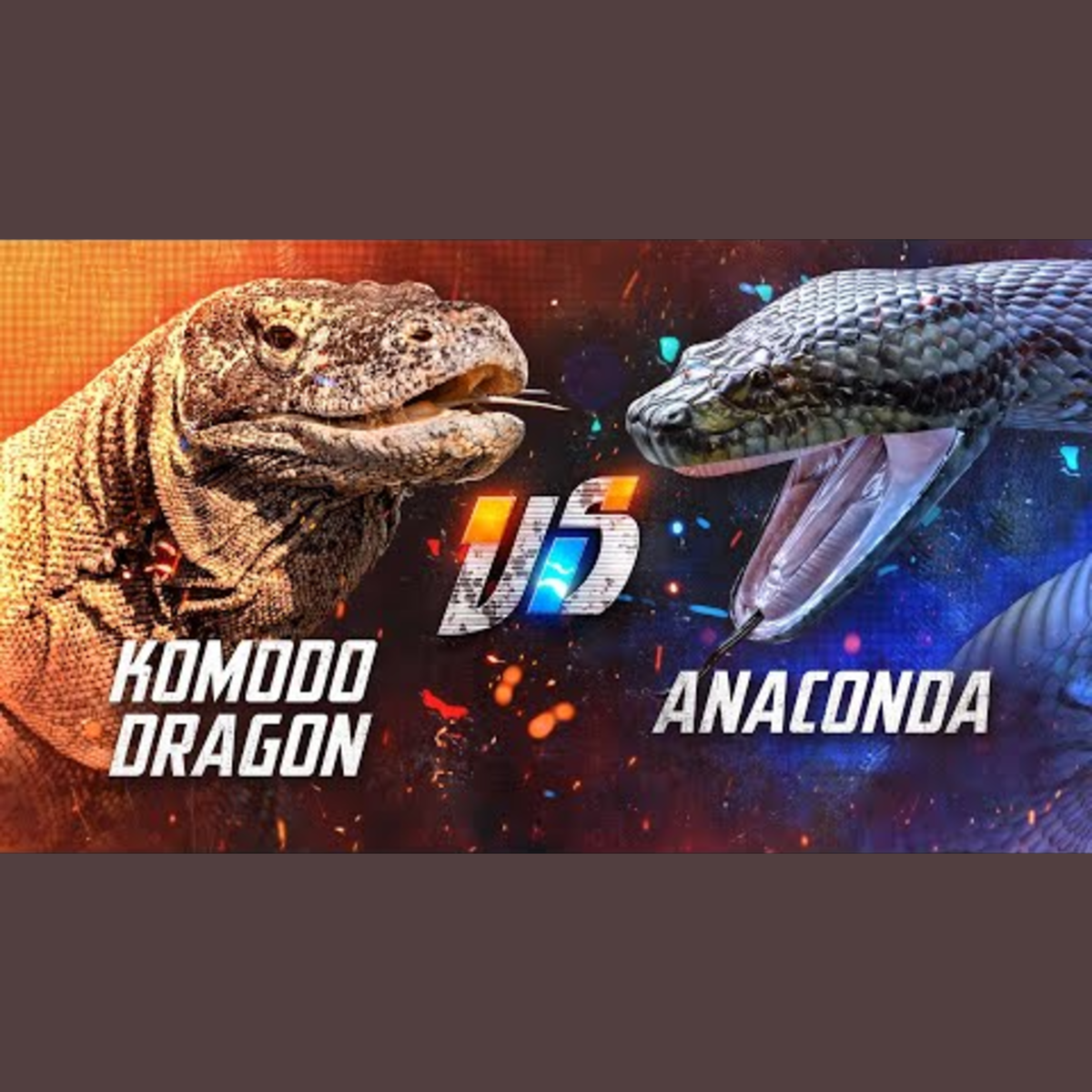 Komodo Dragon vs. Anaconda episode artwork