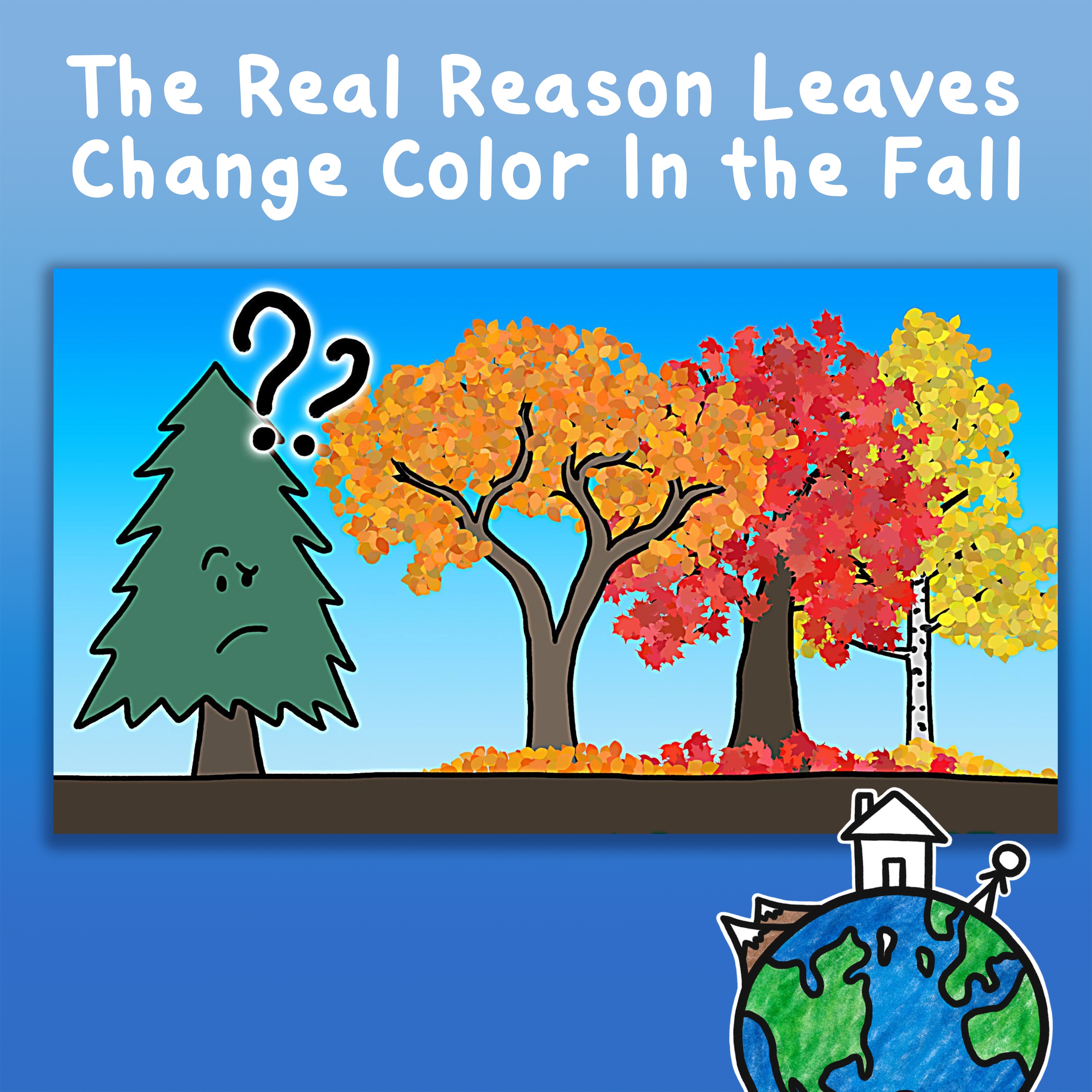 The Real Reason Leaves Change Color In the Fall