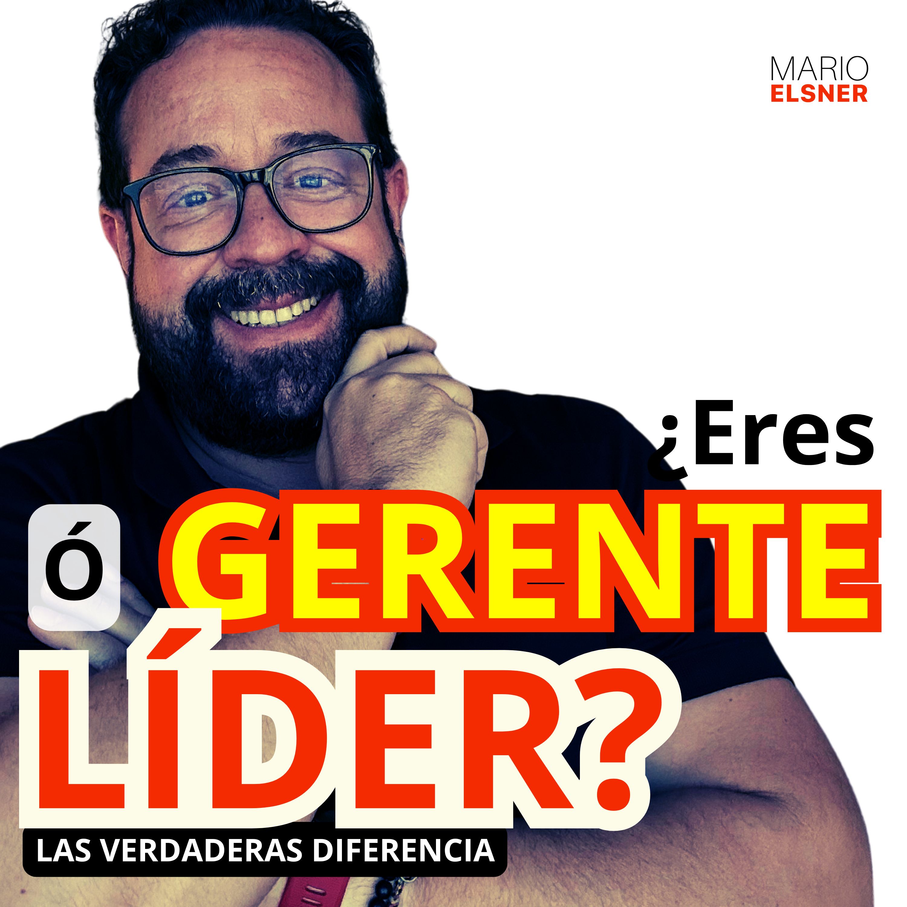 Portada de ¿Cómo lo haría un DIRECTOR?