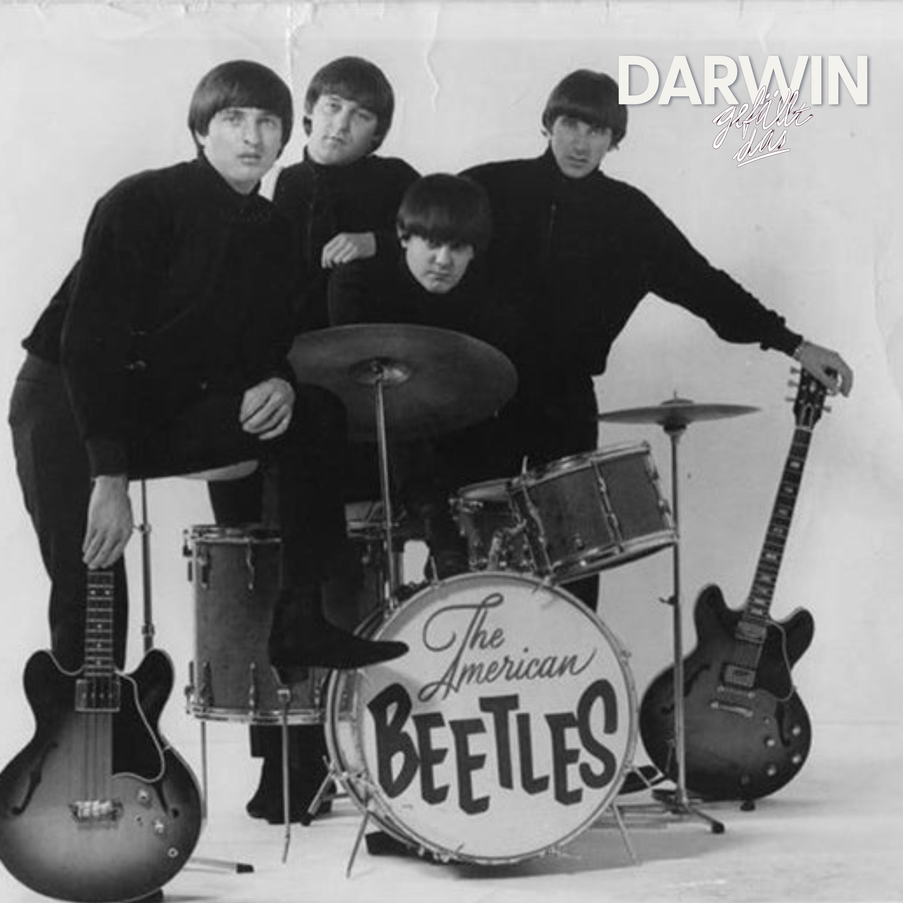 Die falschen Beatles | Steady-Schätze