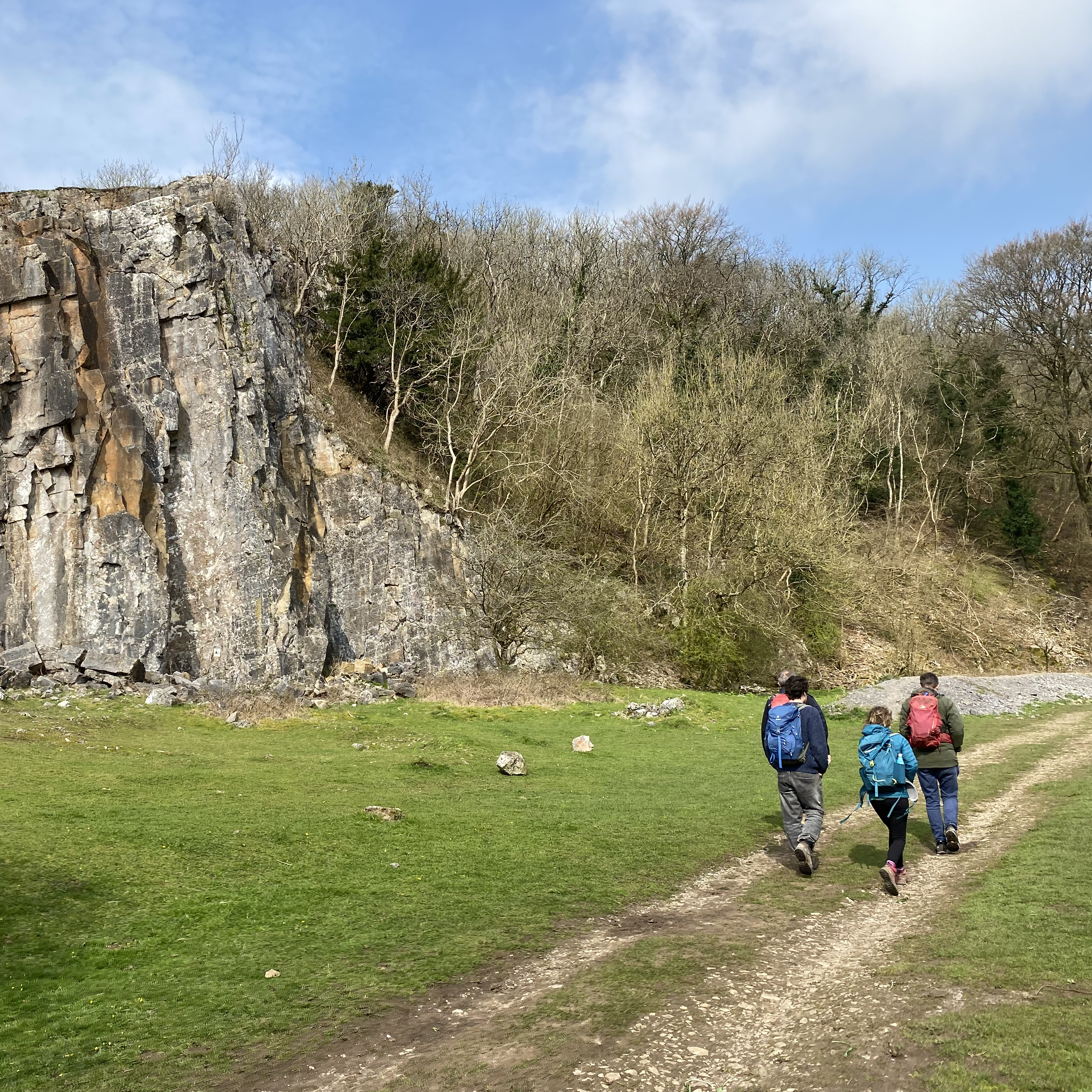 Sound Escape 115: Wistful mistle thrushes and willow warbers in a Mendips vale