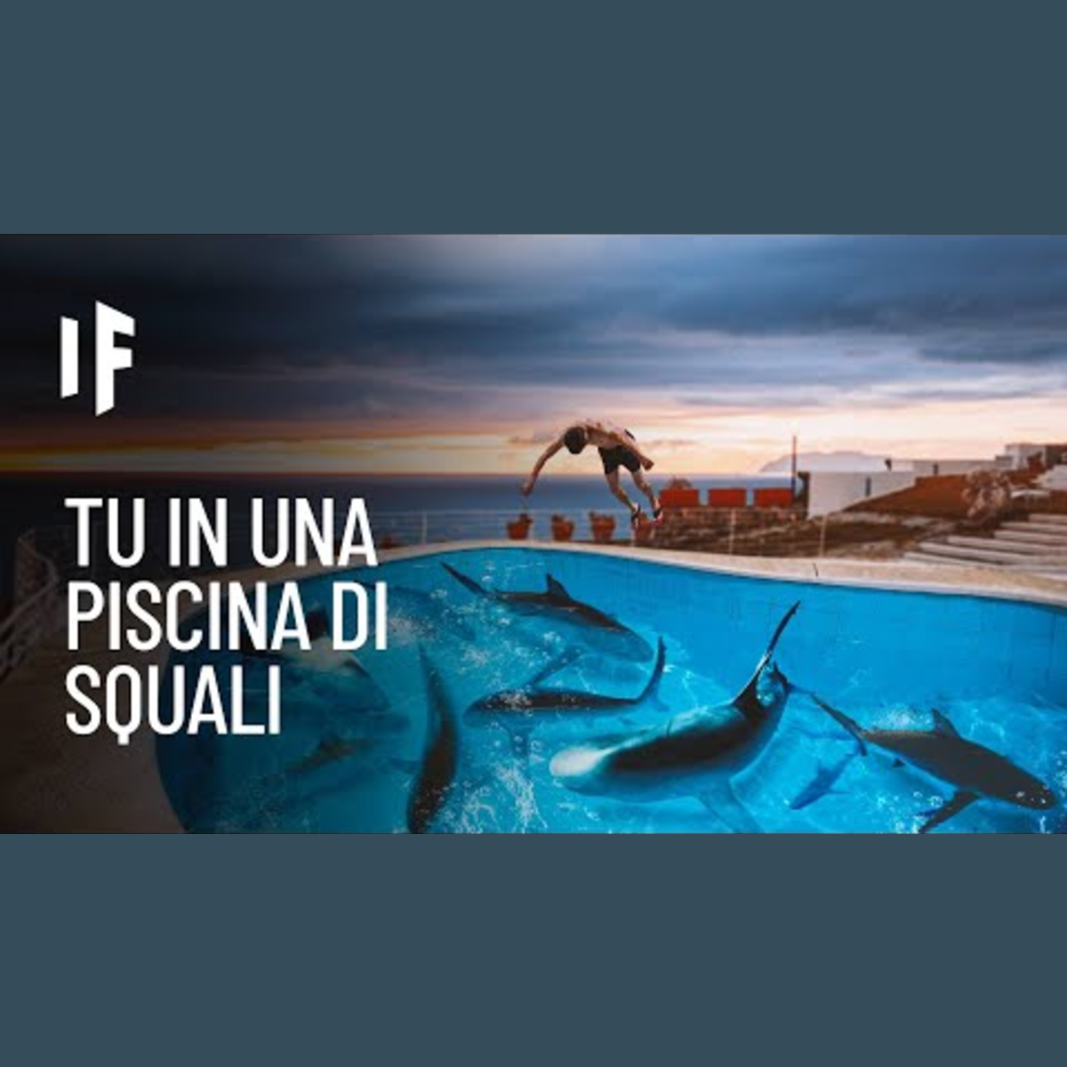 E se cadessi in una piscina piena di squali? episode artwork