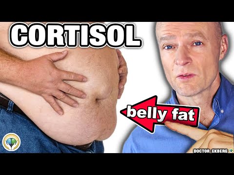 10 Warning Signs Your CORTISOL Is Way Too High! episode artwork