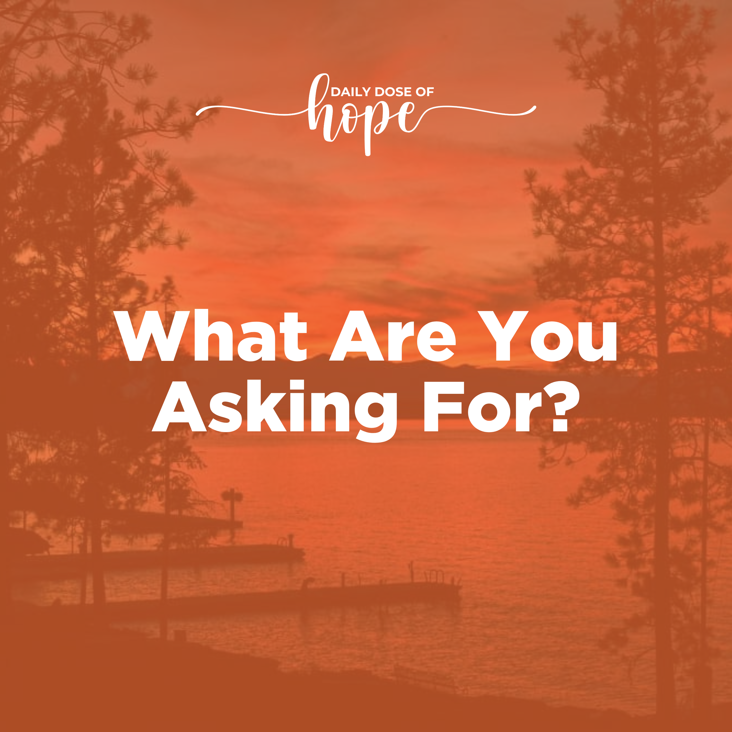 What Are You Asking For? episode artwork
