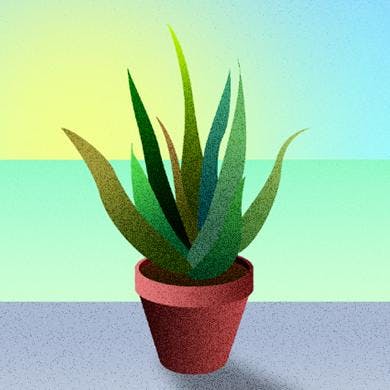 Start - 8 aprile Start - 8 aprile