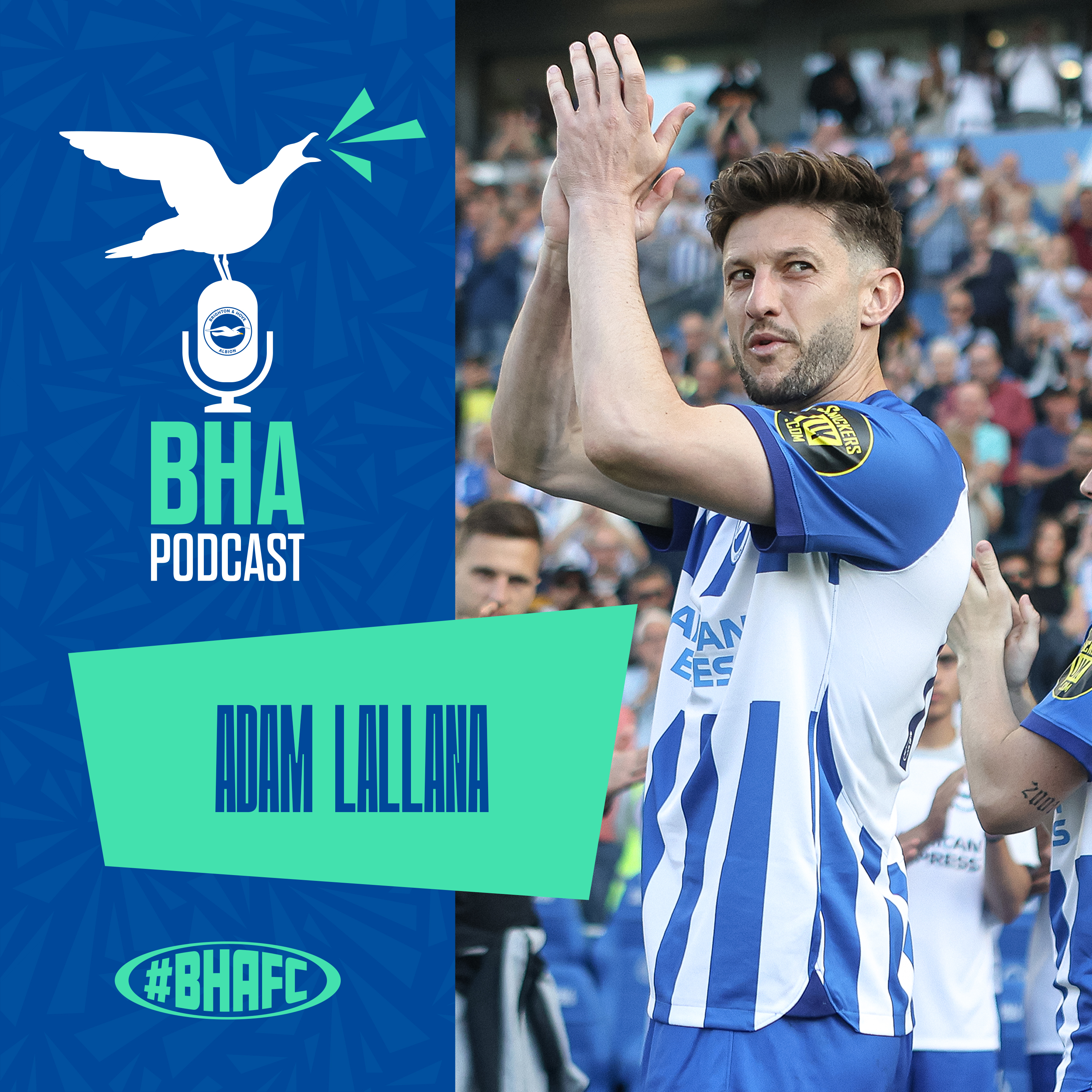 The Official Brighton and Hove Albion Podcast