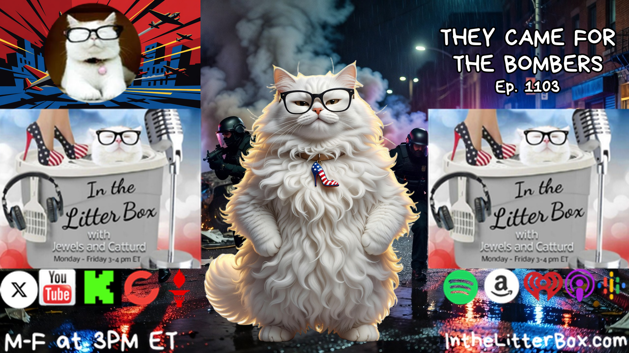THEY CAME FOR THE BOMBERS | In the Litter Box w/ Jewels & Catturd – Ep. 1103 – 9/28/2026
