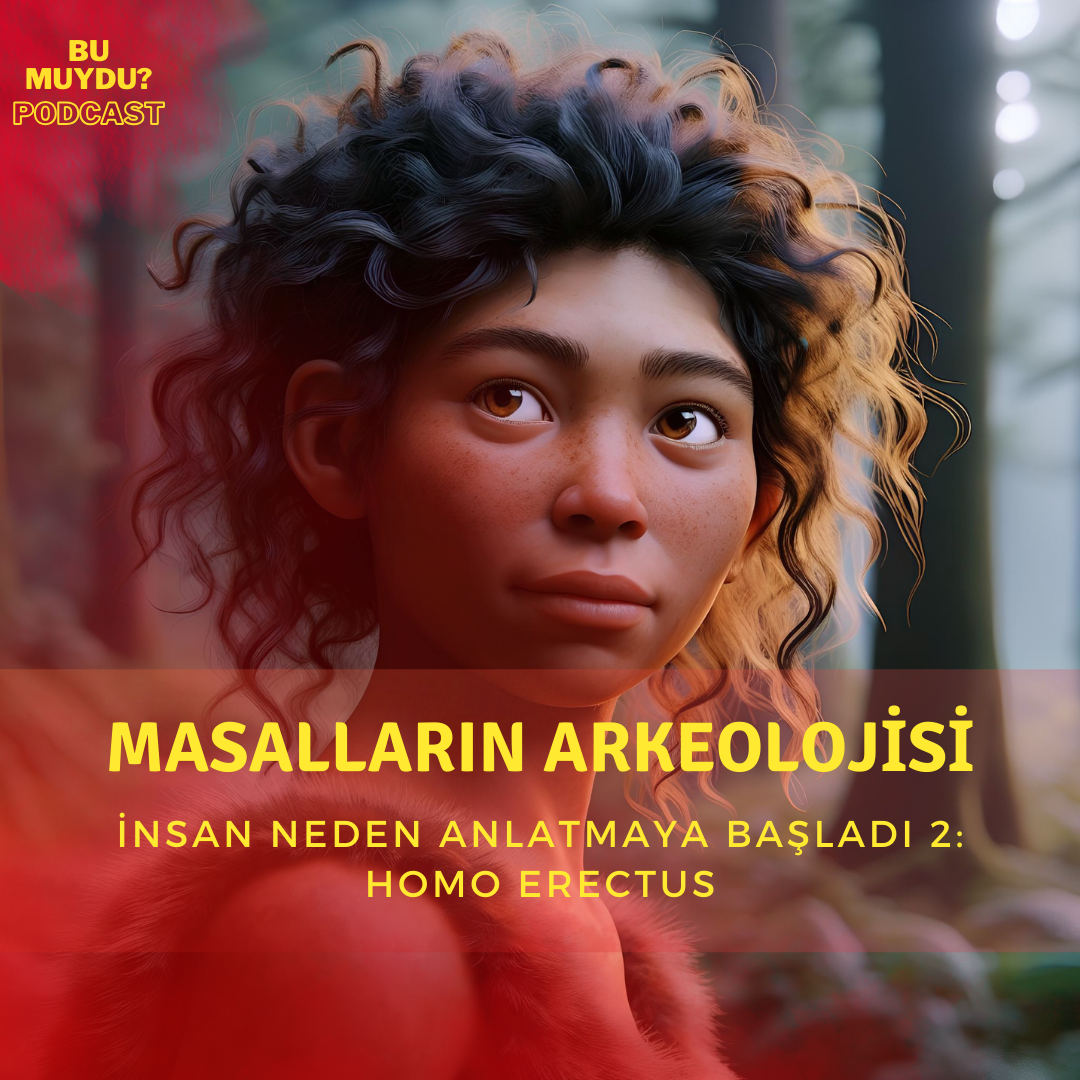 İnsan Neden Anlatmaya Başladı 2: Homo Erectus episode artwork