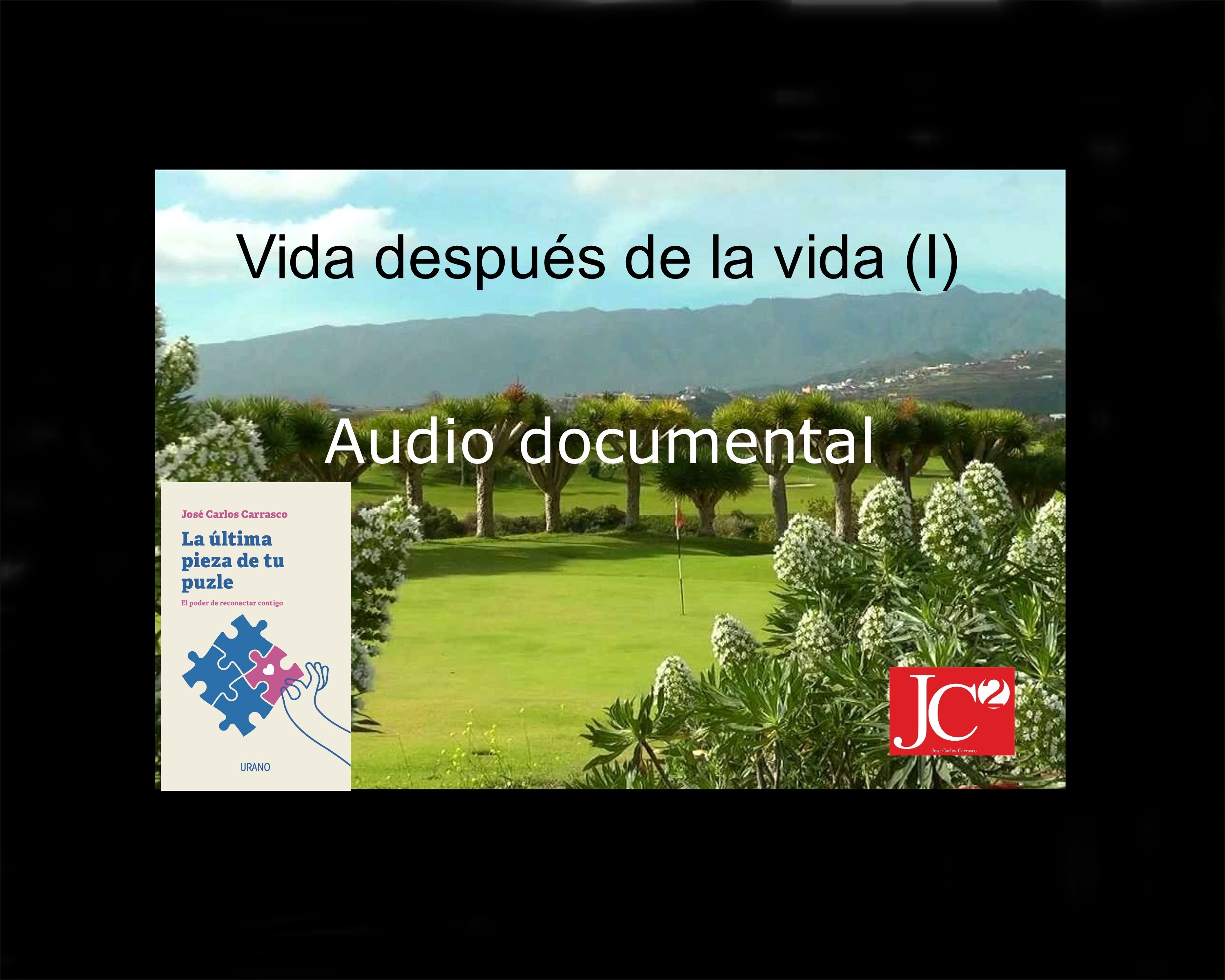 VIDA DESPUÉS DE LA VIDA. AUDIO DOCUMENTAL episode artwork