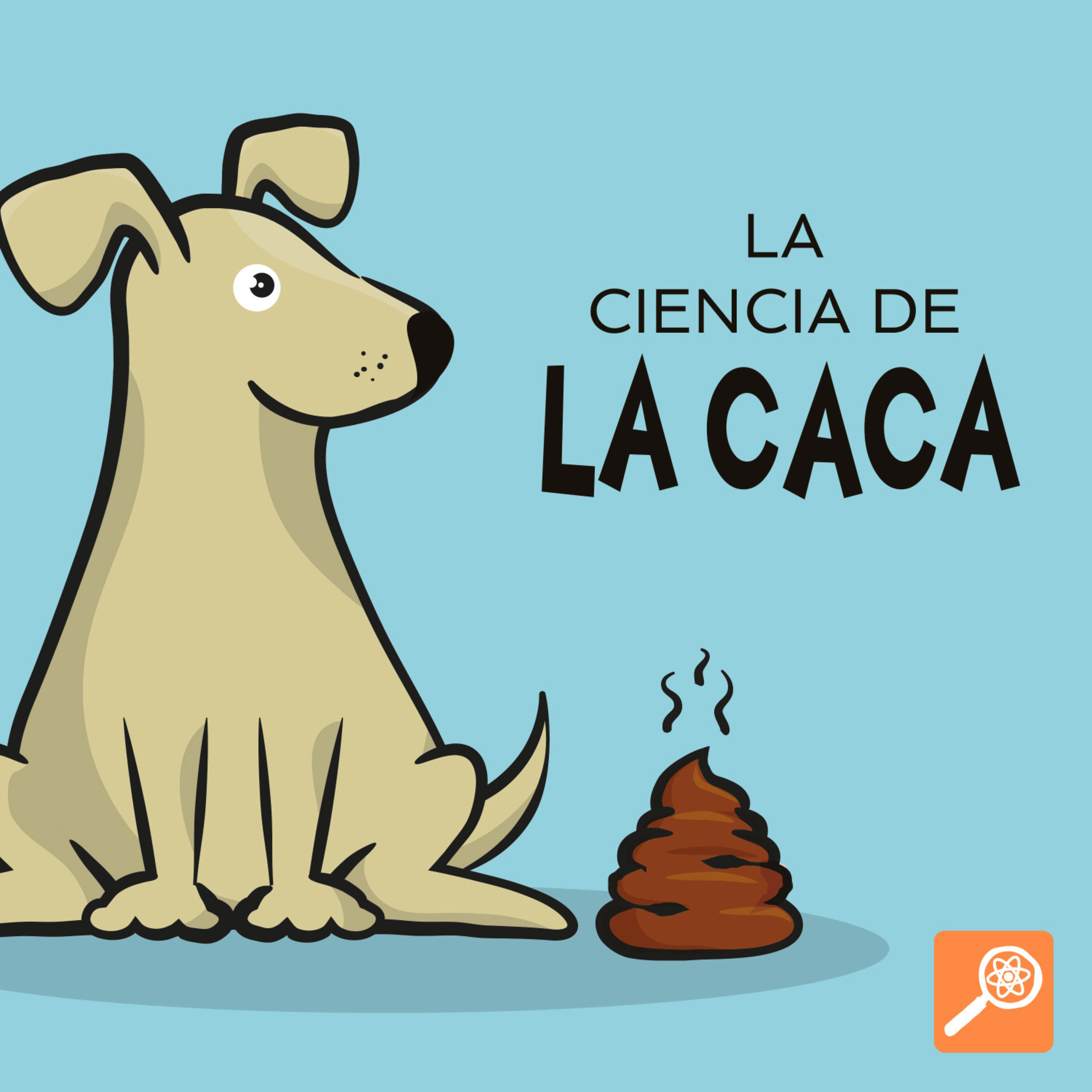 La ciencia de la caca