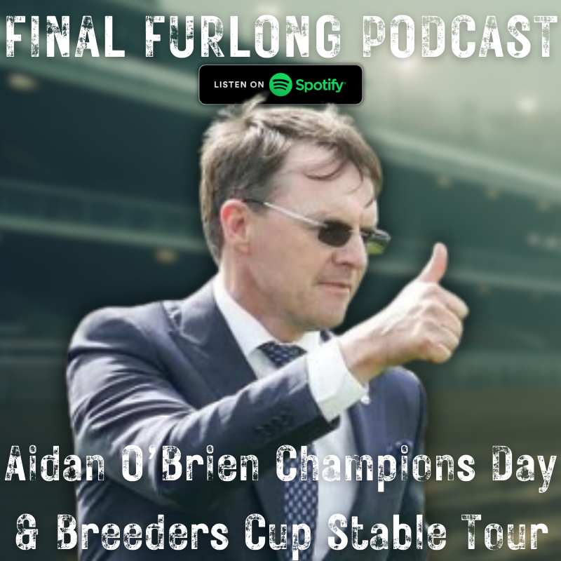 Aidan O'Brien: Champions Day and Breeders Cup Stable Tour