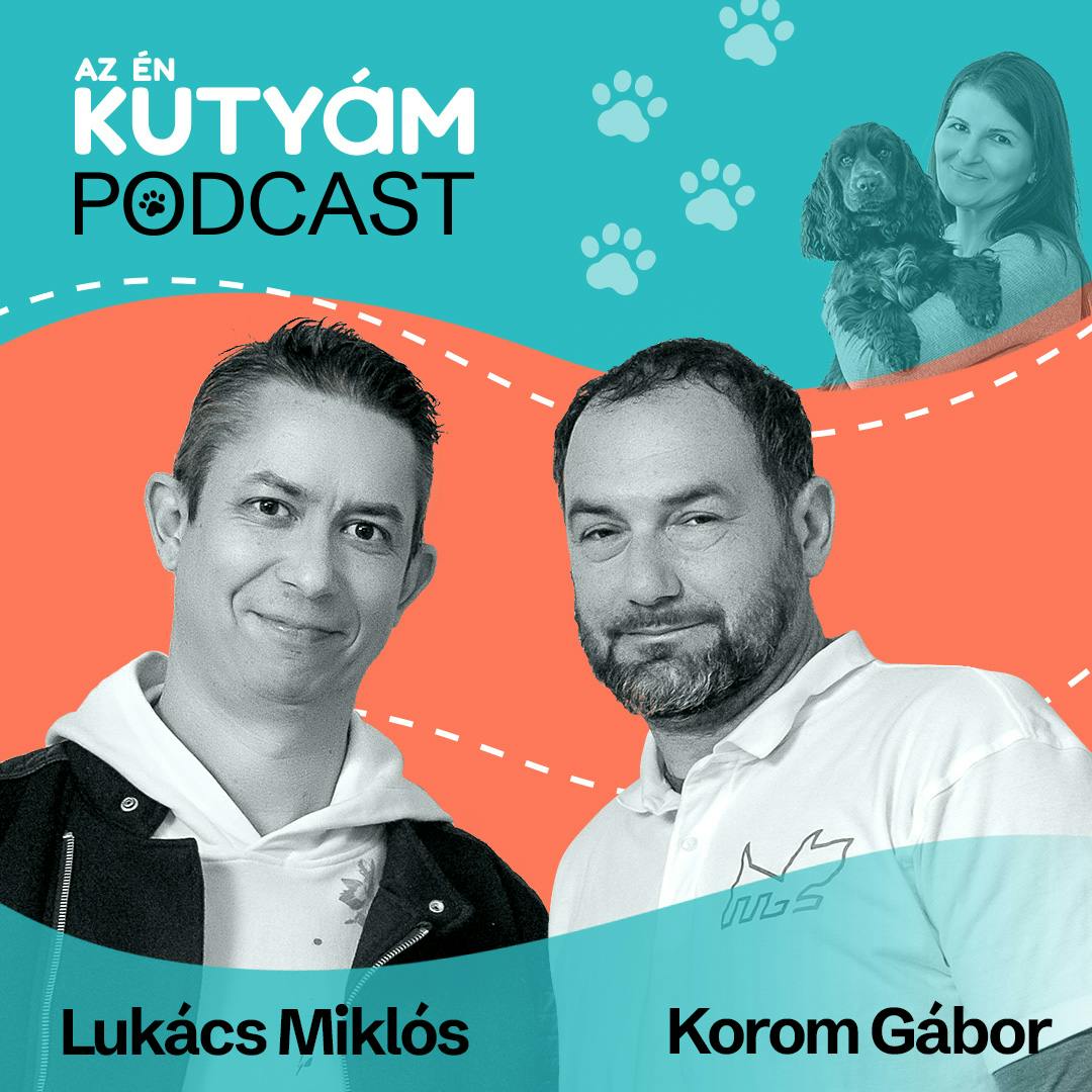 A póráz barbár dolog? Tabudöntögető beszélgetés kerekedett az első adásunkban. Soós Andi vendégei: Korom Gábor és Lukács Miklós A póráz barbár dolog? Tabudöntögető beszélgetés kerekedett az első adásunkban. Soós Andi vendégei: Korom Gábor és Lukács Miklós