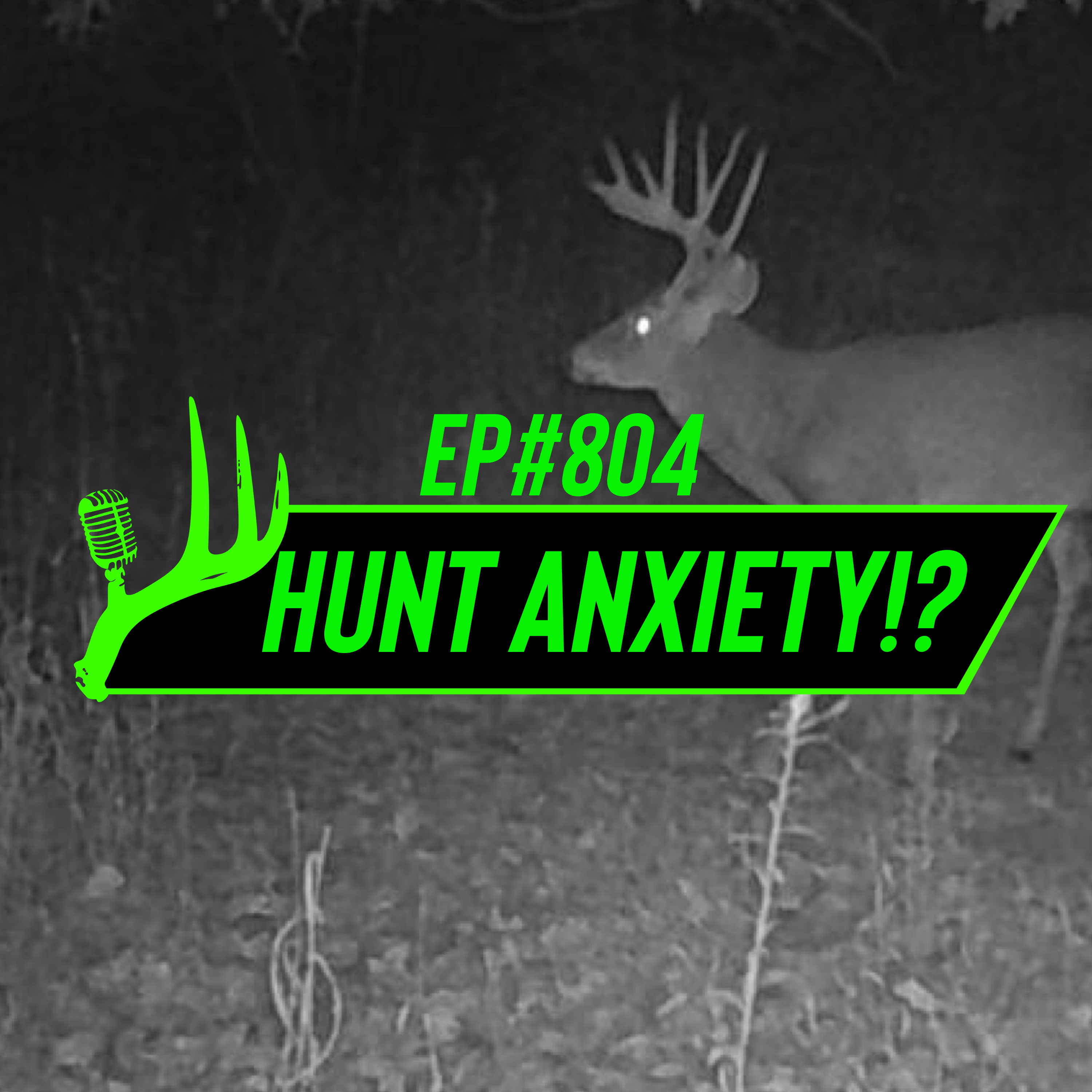804 Hunt Anxiety!?
