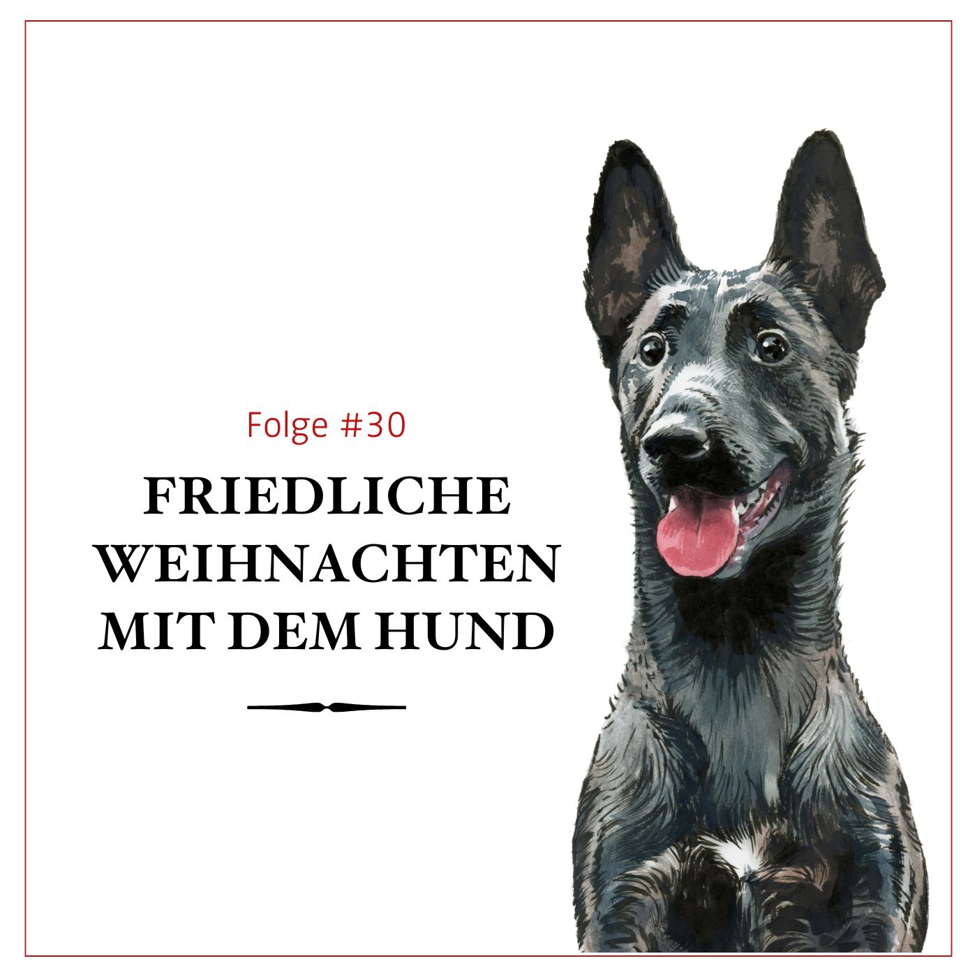 Hundekekse für Weihnachten backen – mit Hundeflo Florian Günther - # 30