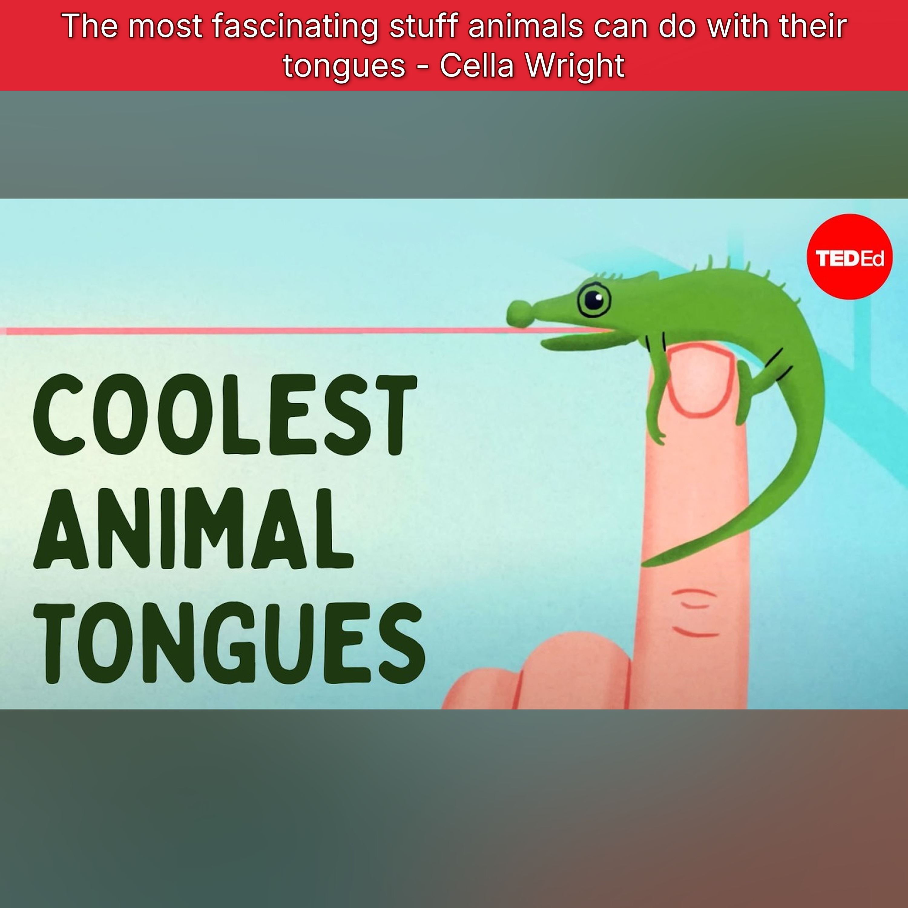 The most fascinating stuff animals can do with their tongues - Cella Wright episode artwork