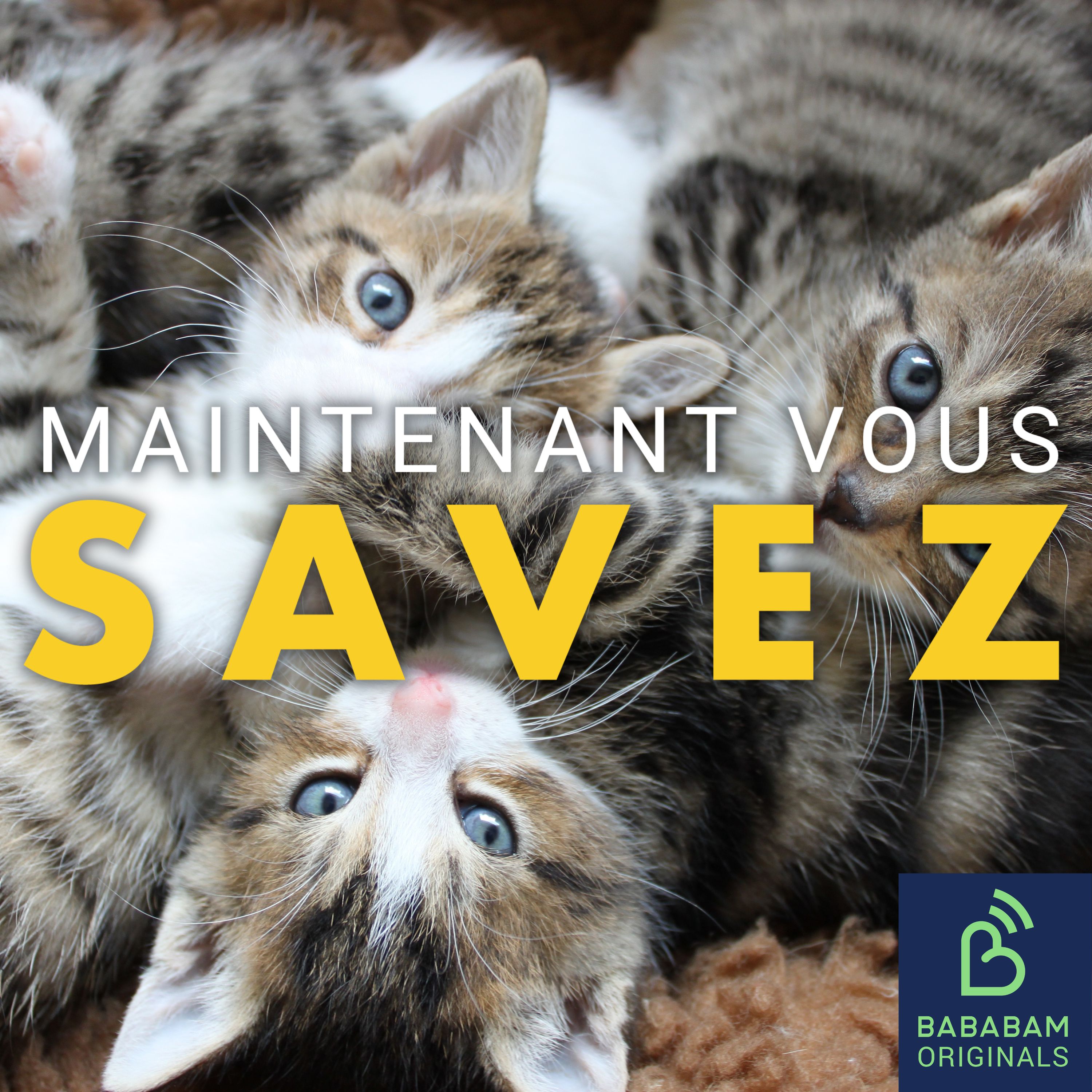 Agressivité mignonne : pourquoi a-t-on envie de mordre tout ce qui est mignon ?