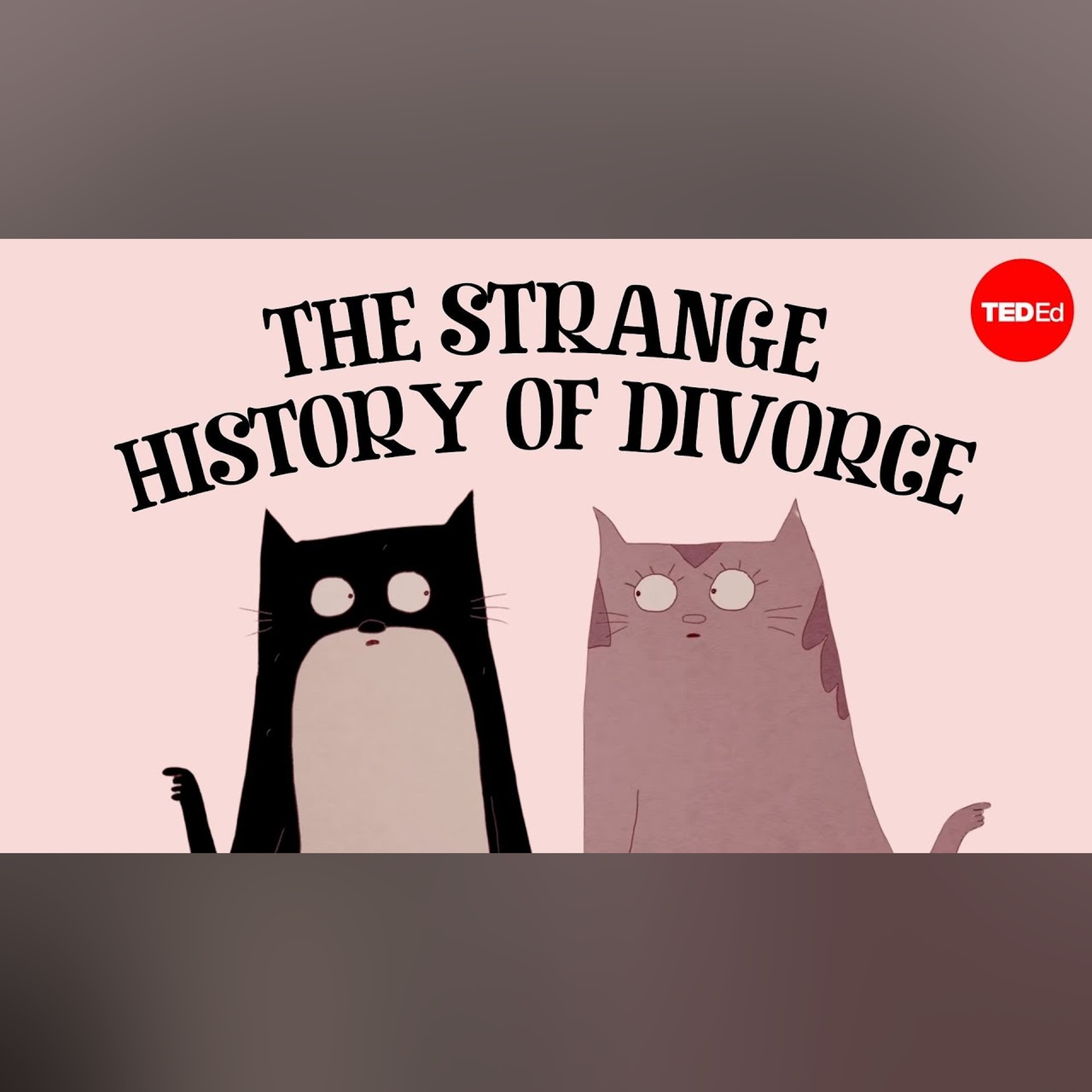 When did humans start getting divorced? - Rod Phillips episode artwork
