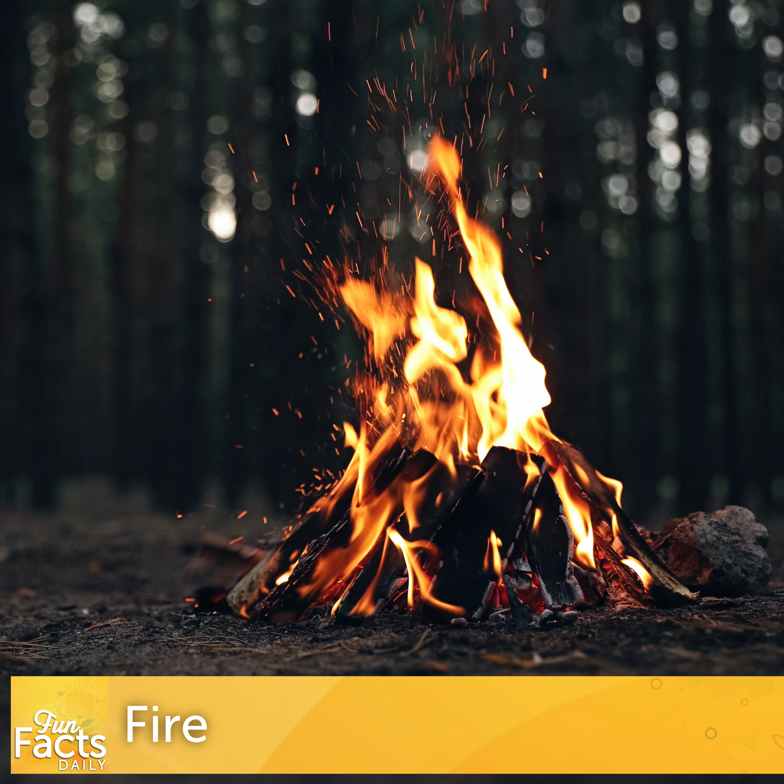 Fun Facts About Fire