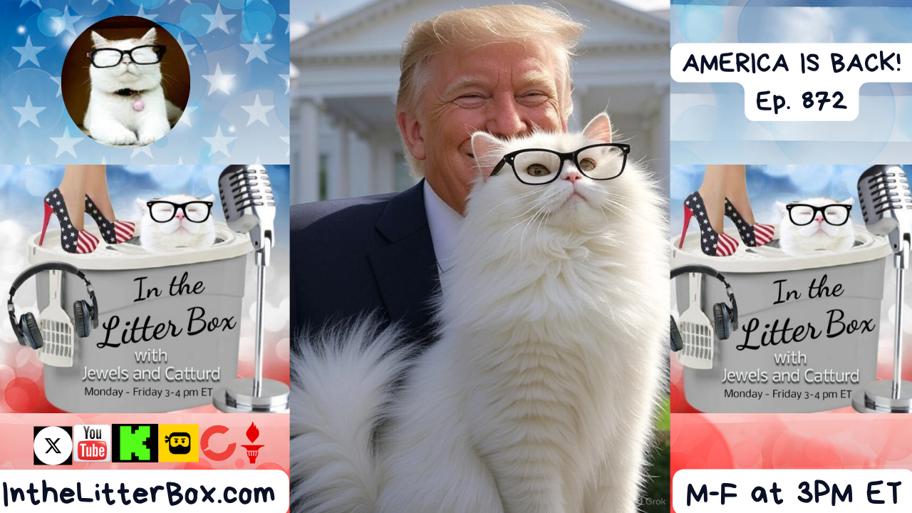 AMERICA IS BACK! | In the Litter Box w/ Jewels & Catturd – Ep. 872 – 8/27/2025