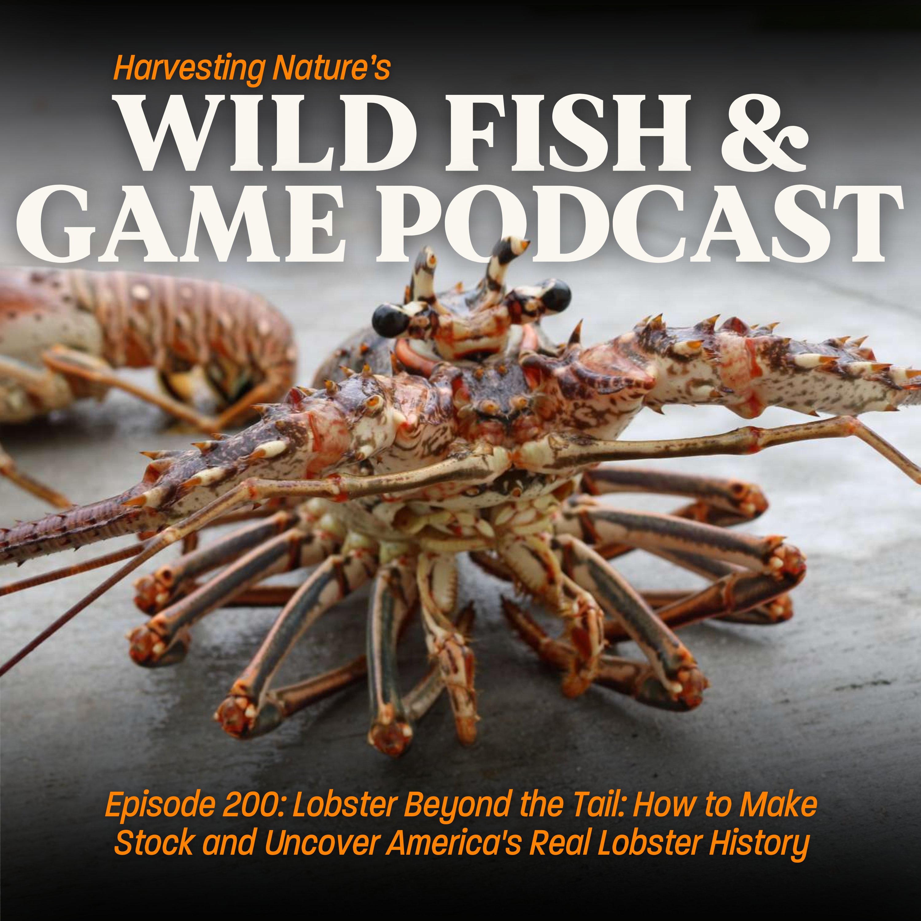 Episode 200: Lobster Beyond the Tail: How to Make Stock and Uncover America's Real Lobster History