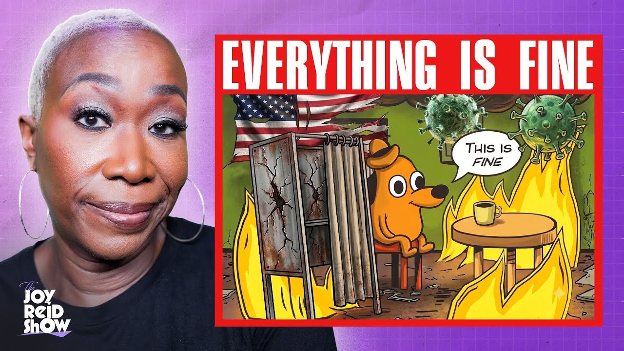Everything Is Fine | The Joy Reid Show LIVE!