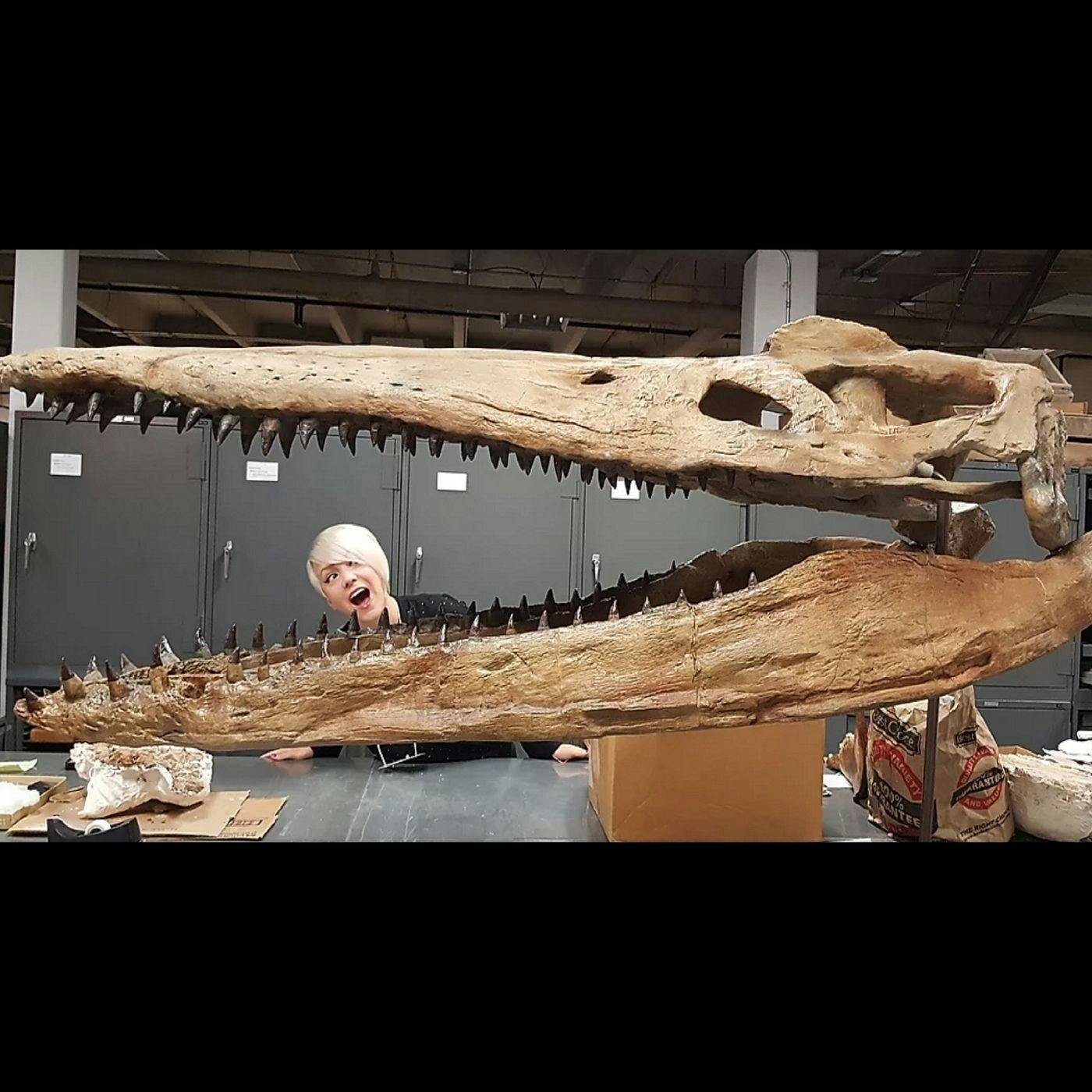 Paleontologist Ashley Hall