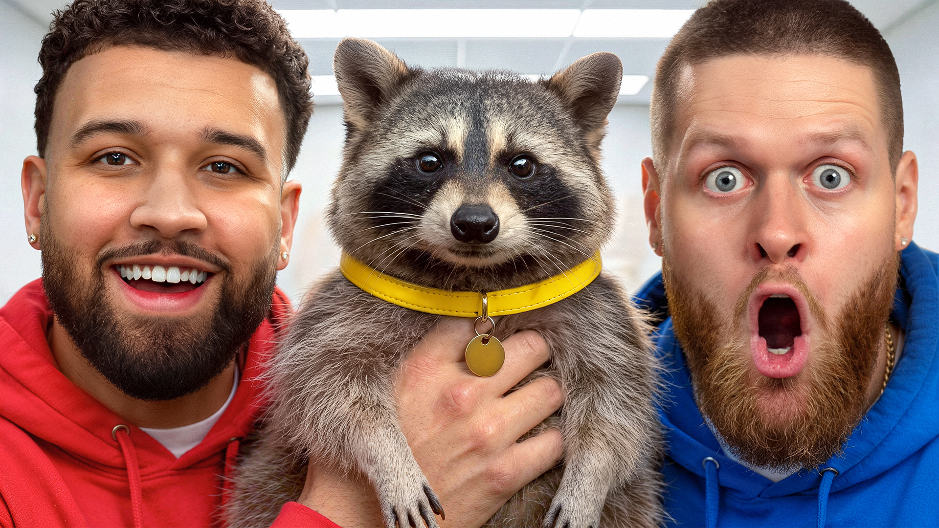 SURPRISING FRIEND WITH A RACCOON! -You Should Know Podcast-