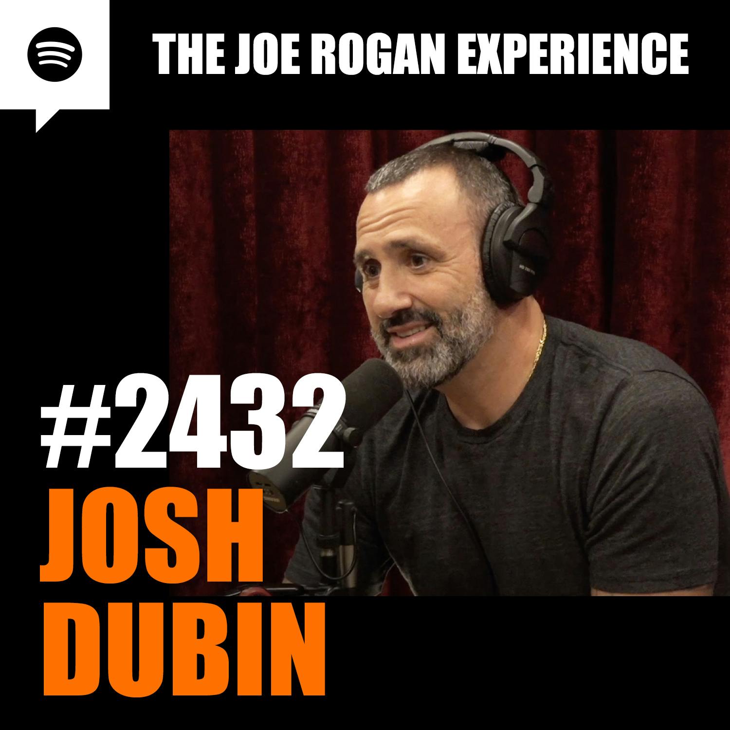 #2432 - Josh Dubin podcast