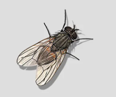 Ep. 140: Angelo Moore (Fishbone) Ep. 140: Angelo Moore (Fishbone)