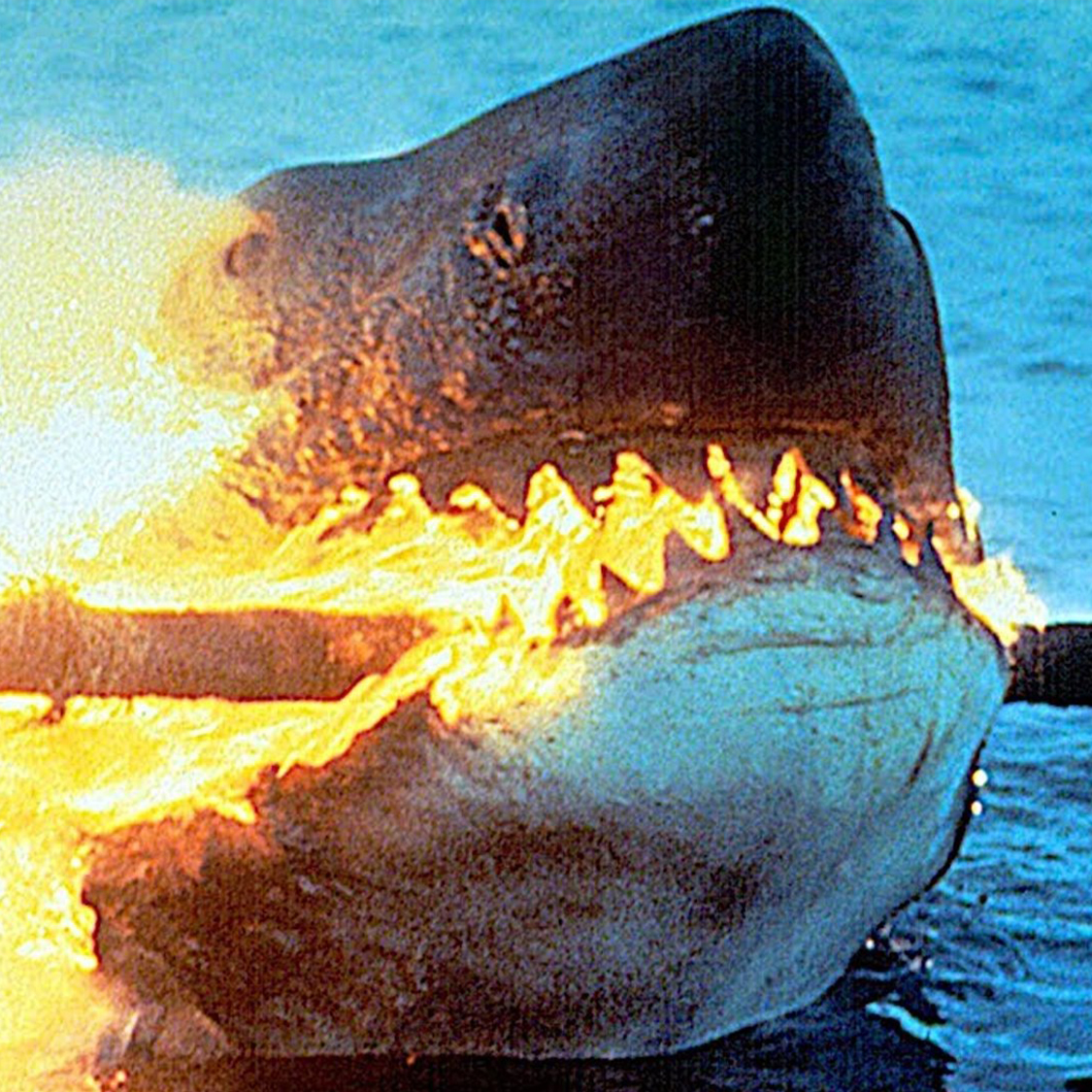 Jaws 2 (1978)