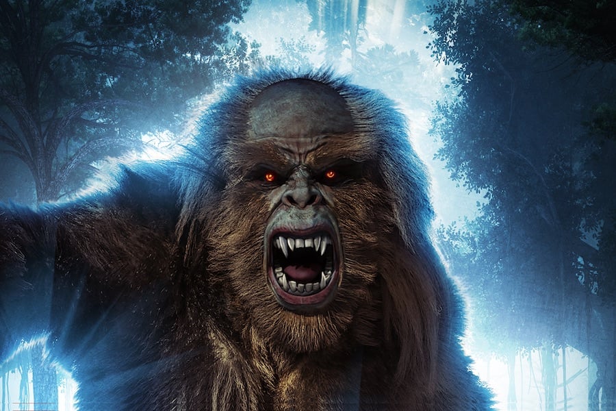 Backwood Horrors & Bigfoot - The Paranormal 60