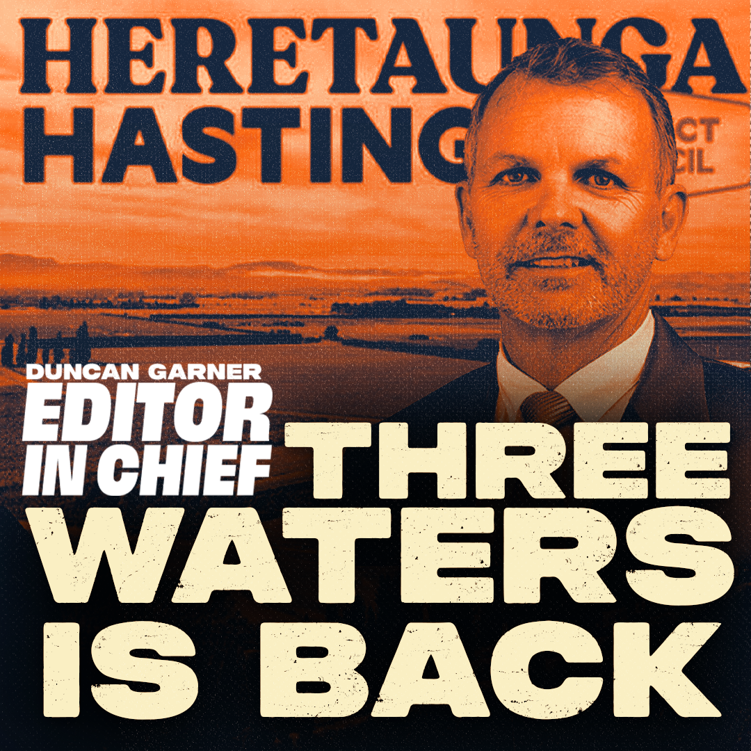 Hastings District Council: Unelected Representation Sparking Government Backlash episode artwork