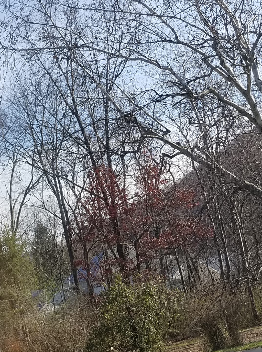 Troubadours and Raconteurs with E.W. Conundrum Demure - Conversation, Essays, Poetry & Music.