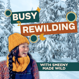 Busy Rewilding with Smeeny Made Wild | For the creatives and small business owners staying wild in a world that’s trying to tame us