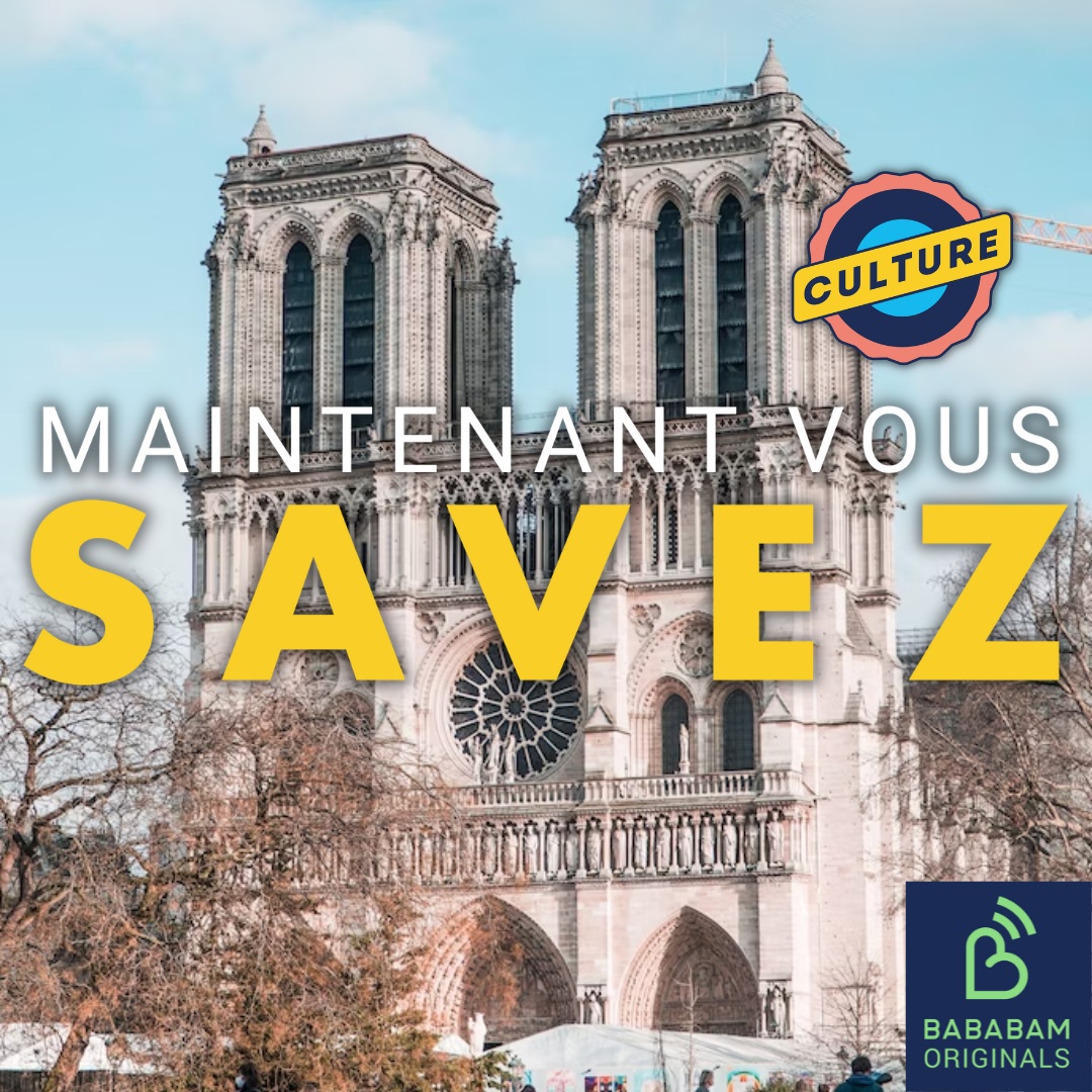 Comment la culture a-t-elle détourné "Notre Dame de Paris" ?
