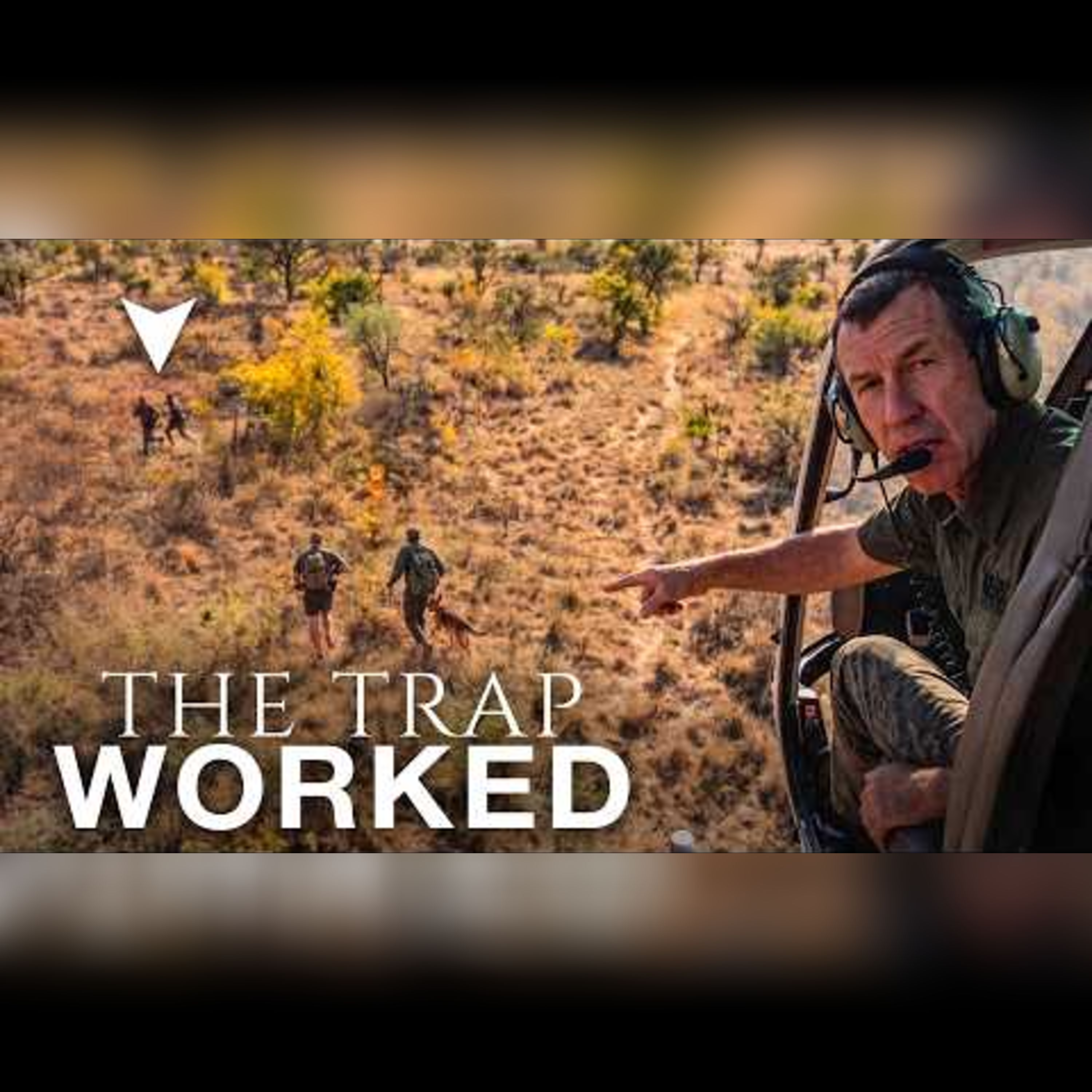 Smuggling Africa's Rarest Animals: A Conservation Battle episode artwork