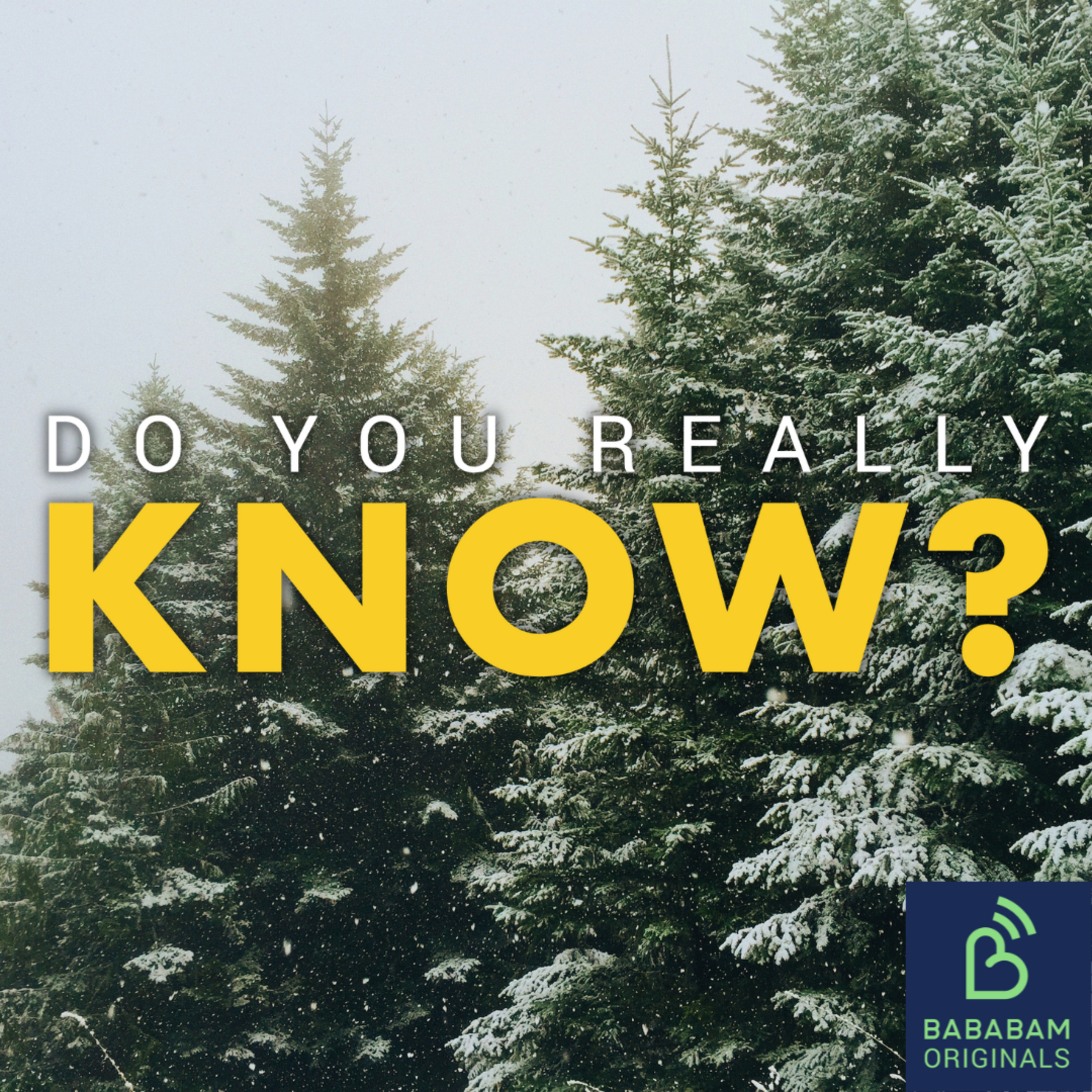 Why does Norway offer a Christmas tree to London every year? Do you