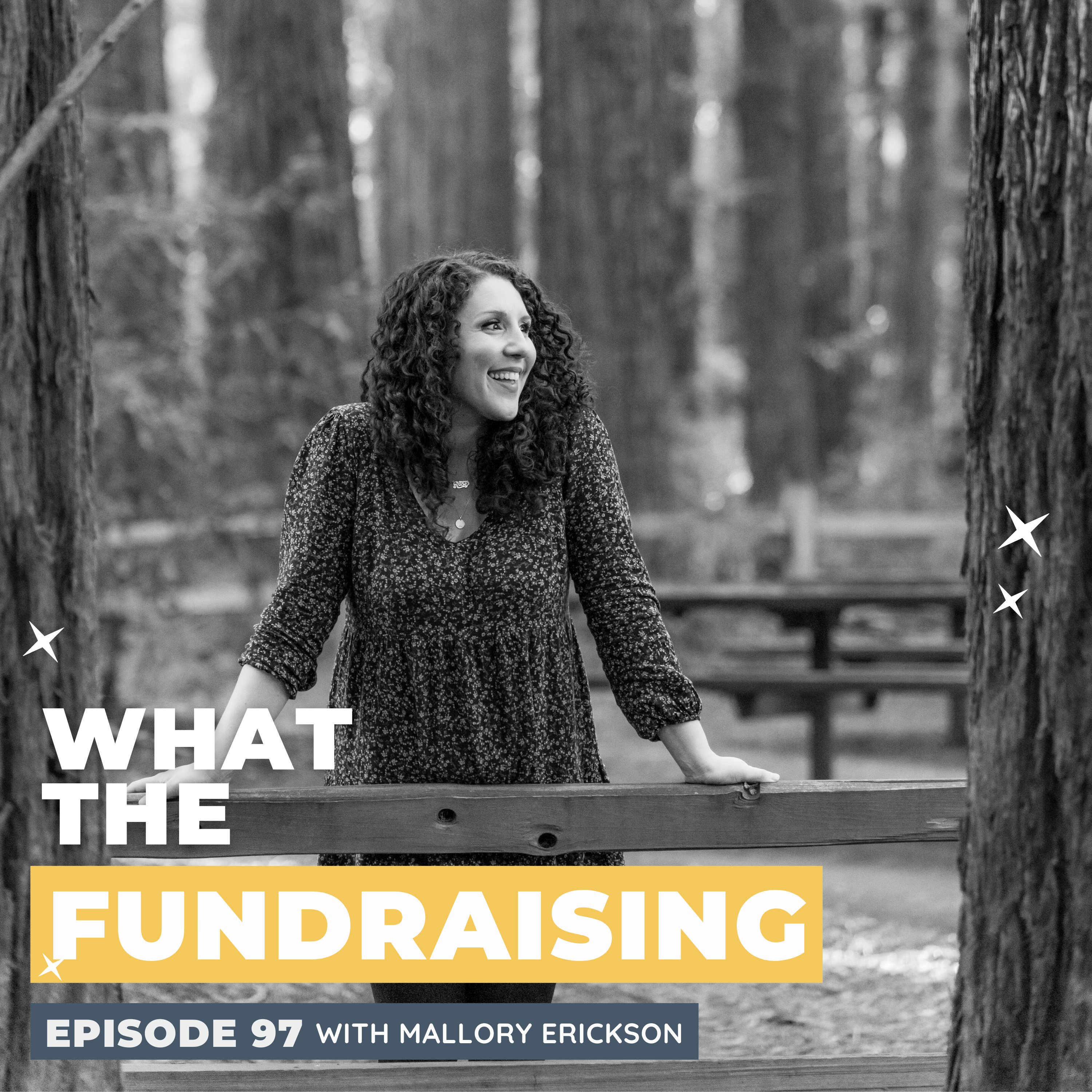 What the Fundraising
