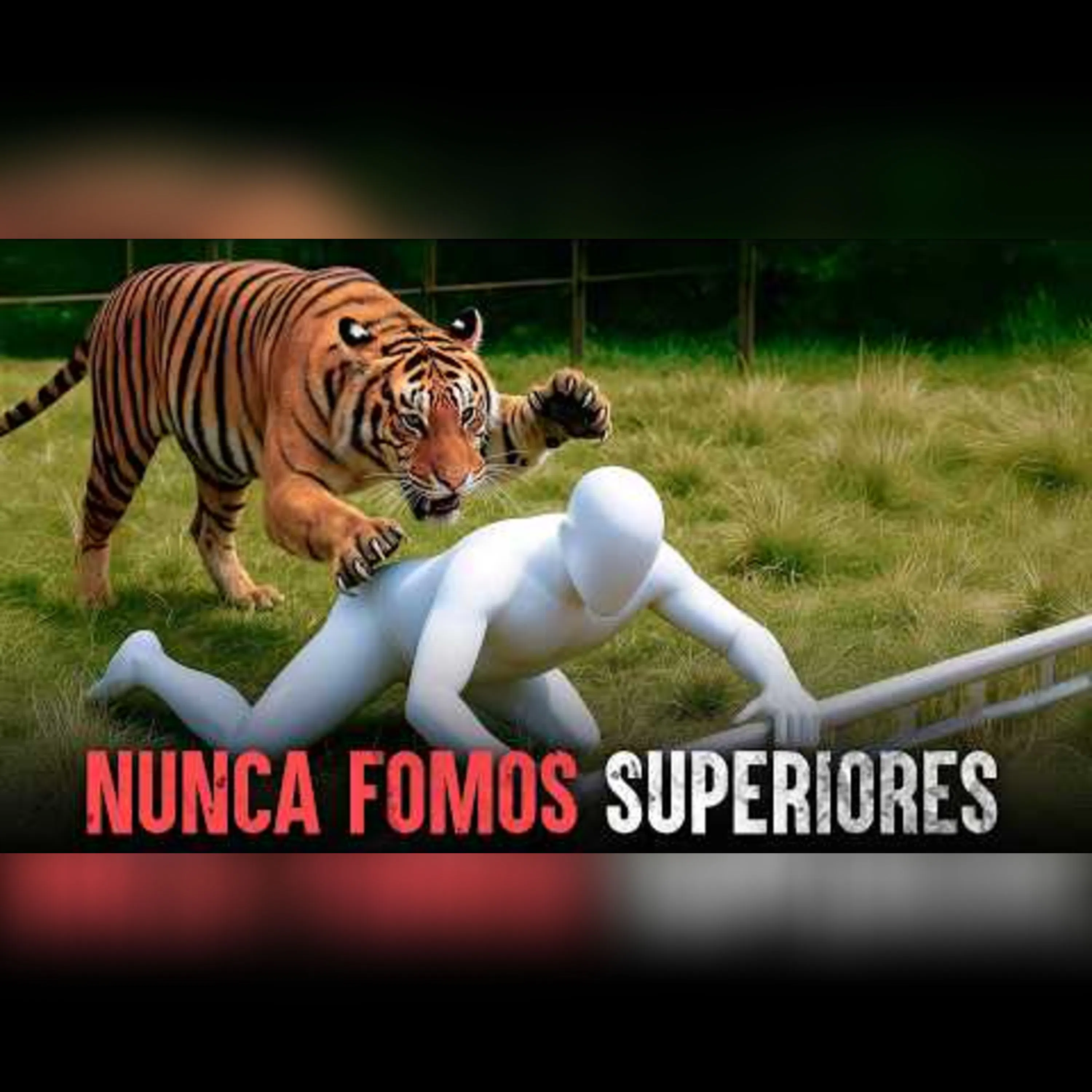 Os piores ataques de animais da história da humanidade episode artwork