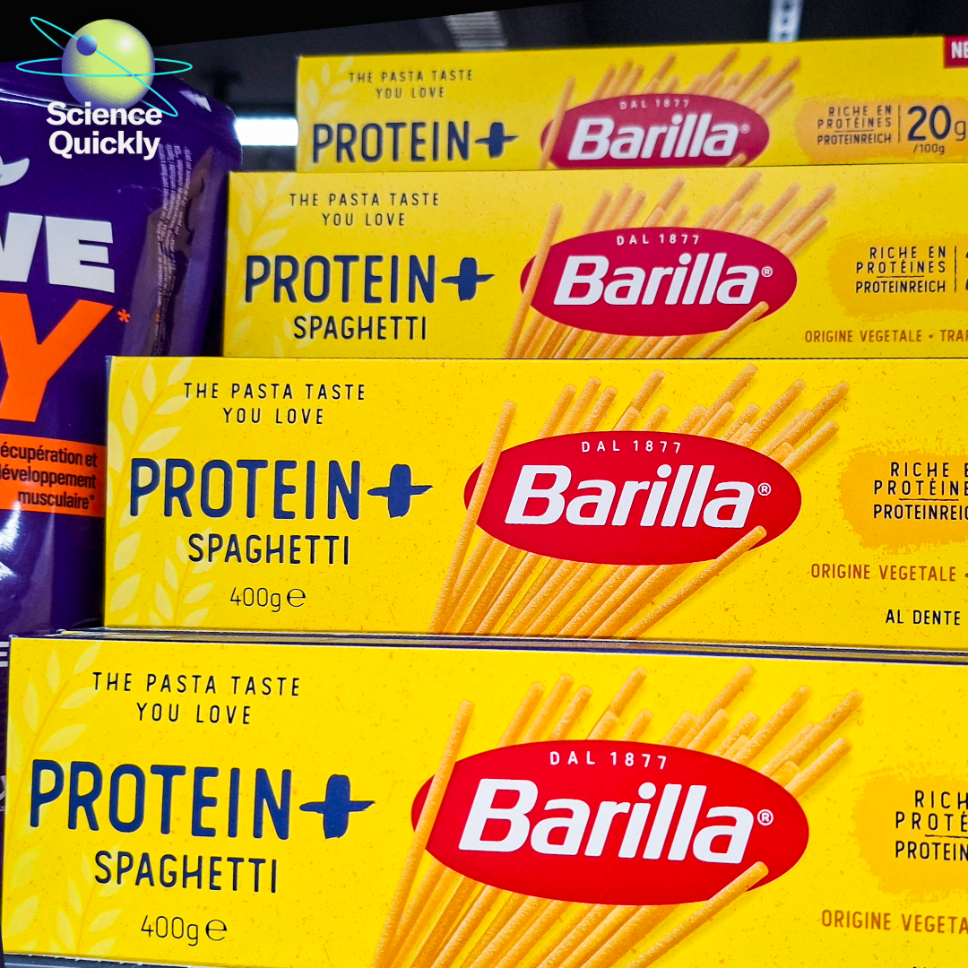 Do you actually need more protein? What the science says