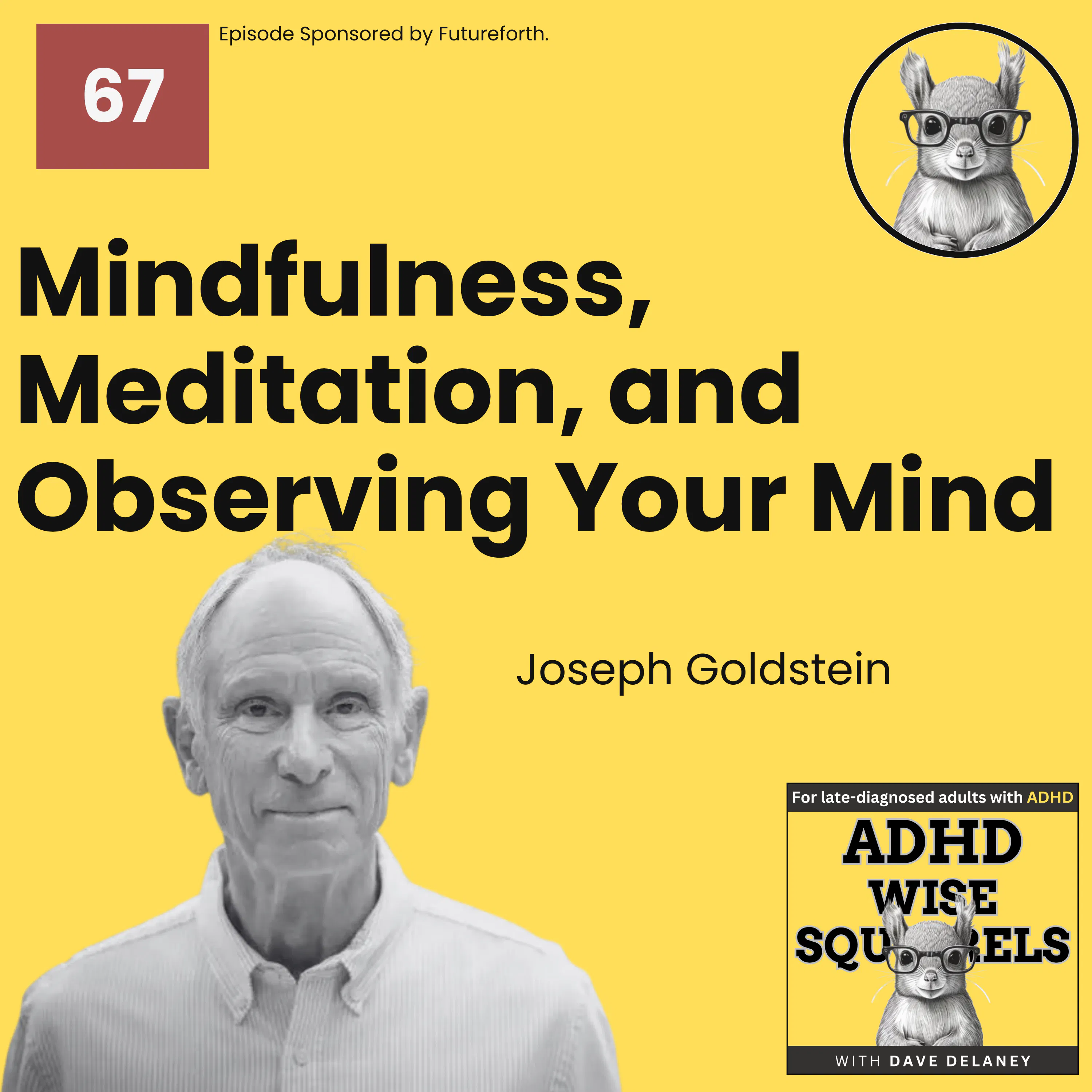 WS67 Mindfulness, Meditation, and Observing Your Mind with Joseph Goldstein. episode artwork