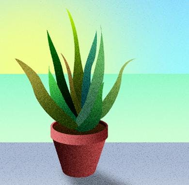 Start - 6 aprile Start - 6 aprile