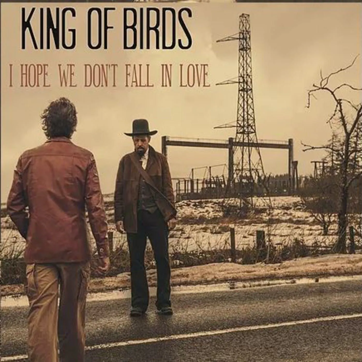 King Of Birds Profile King Of Birds Profile