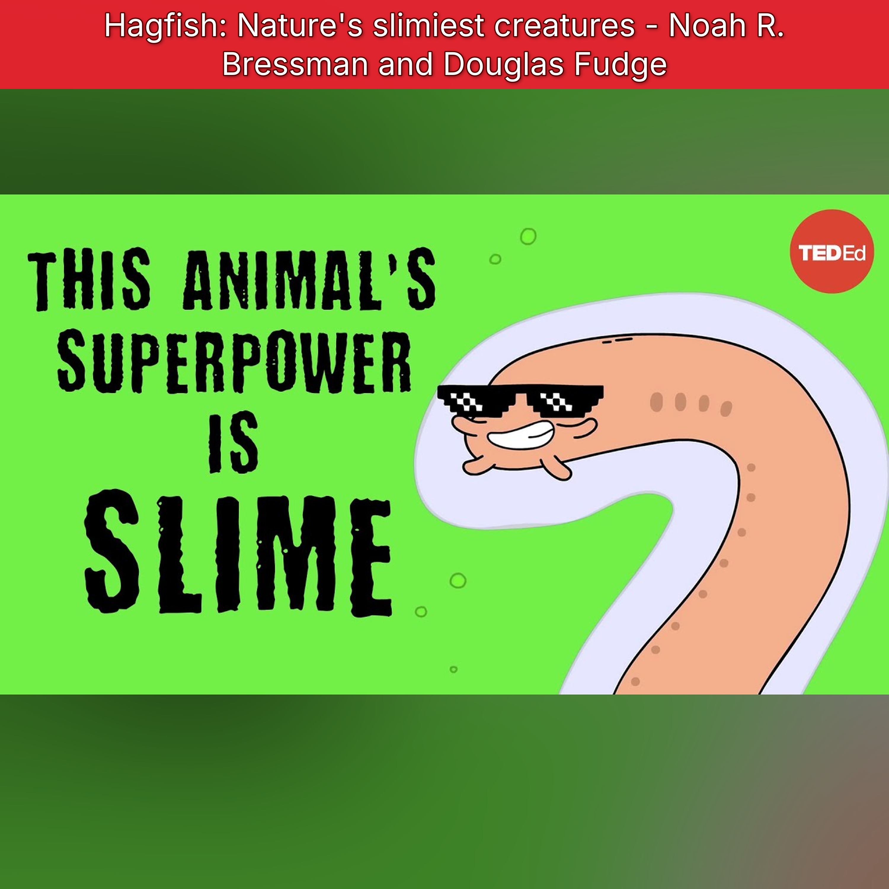 Hagfish: Nature's slimiest creatures - Noah R. Bressman and Douglas Fudge episode artwork