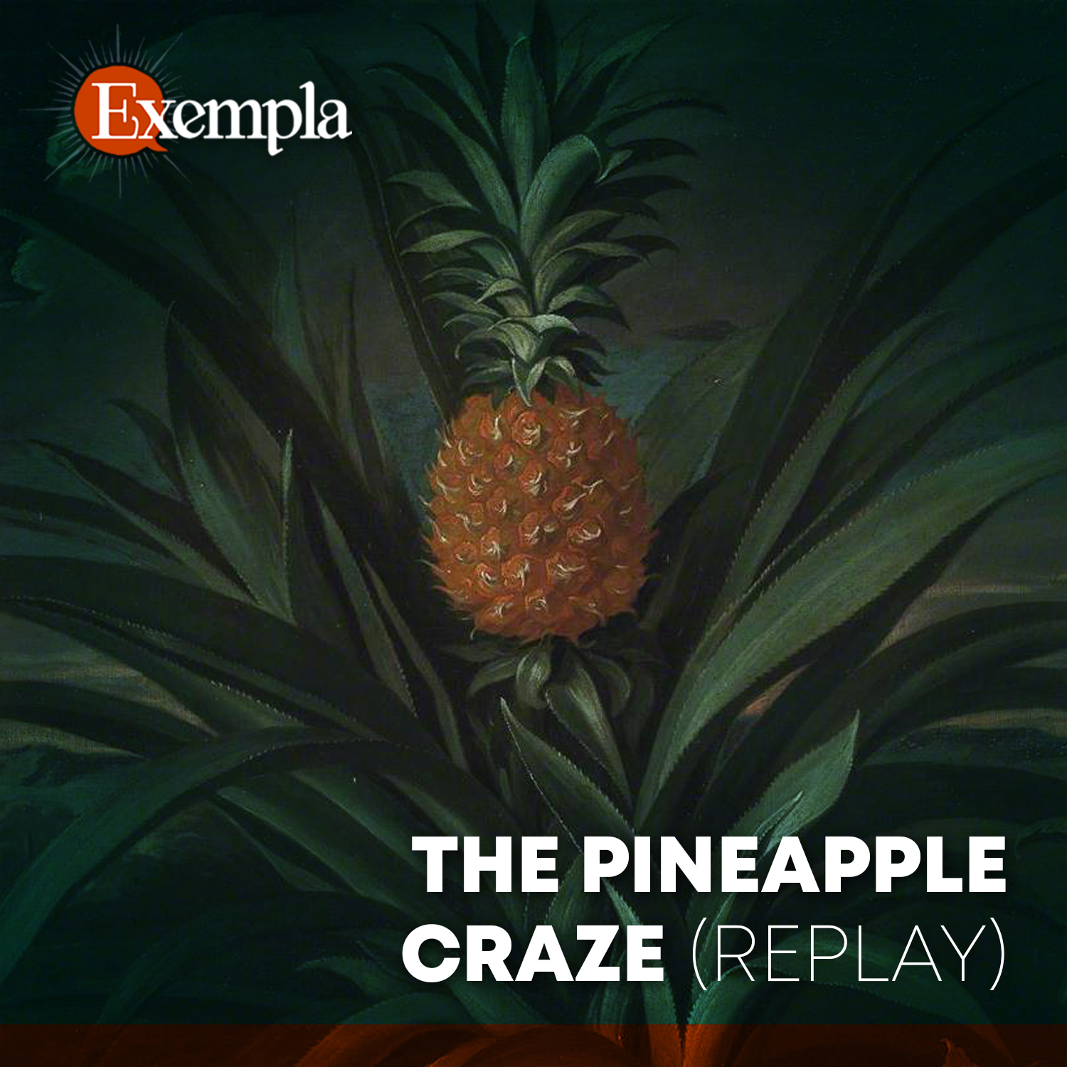 The Pineapple Craze (replay)