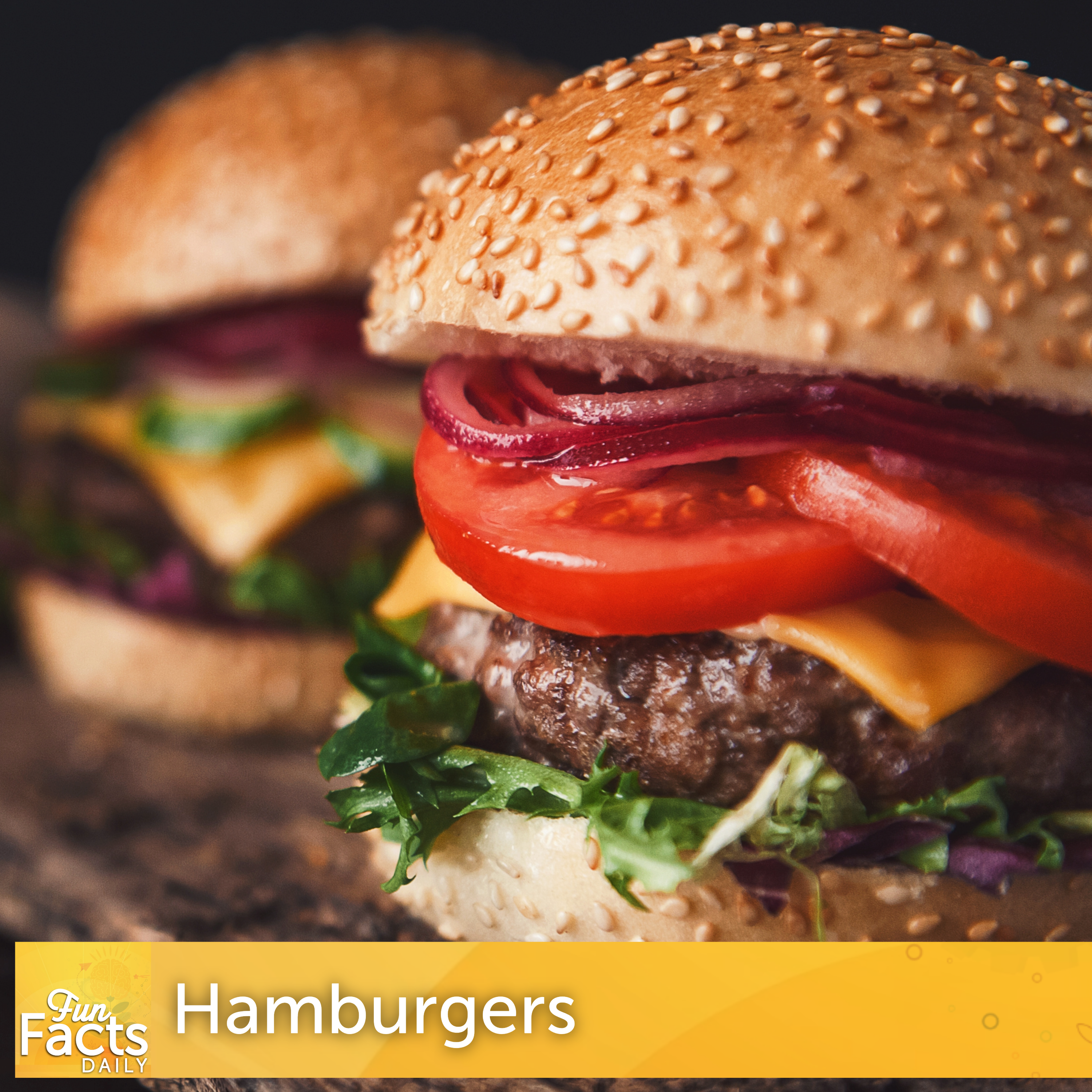 Fun Facts About Hamburgers