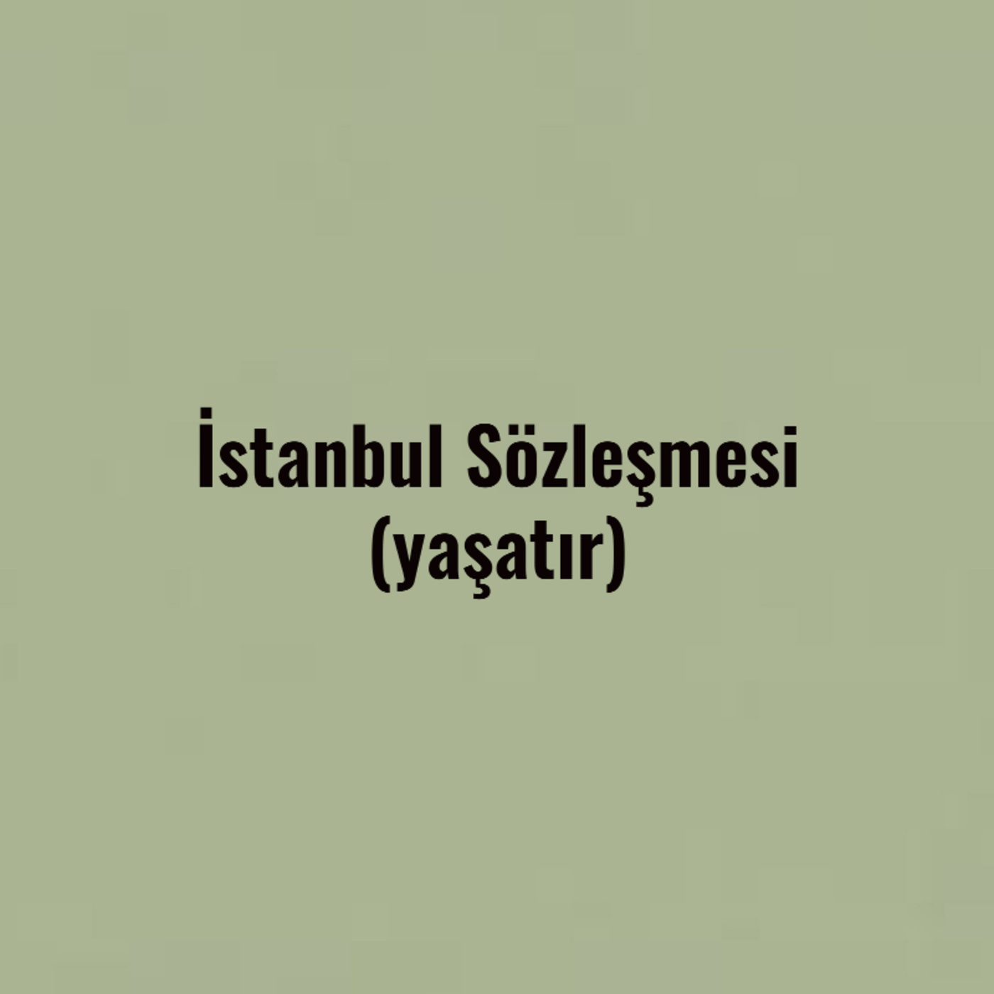İstanbul Sözleşmesi I Tam Metin