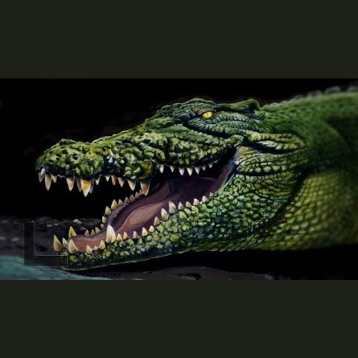 Purussaurus - Ancient Animal episode artwork