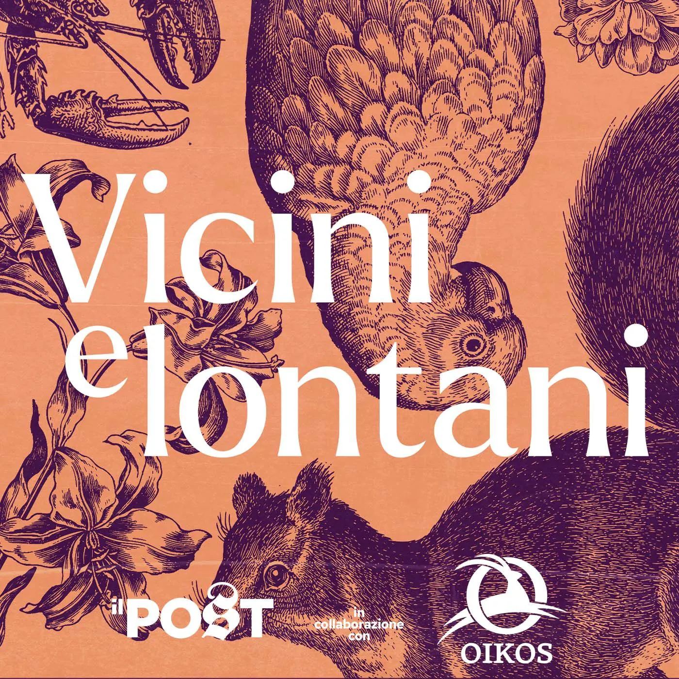 Artwork for Vicini e lontani